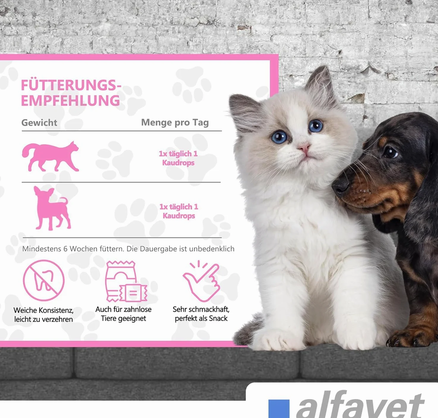 alfavet FeliGum Gingiva | Pack Double | 2 x 120 g | Complément Alimentaire pour Chats et Petits Chiens | avec extrait d'écorce de Saule et acides Gras oméga-3 | Délicieuses Gouttes à mâcher