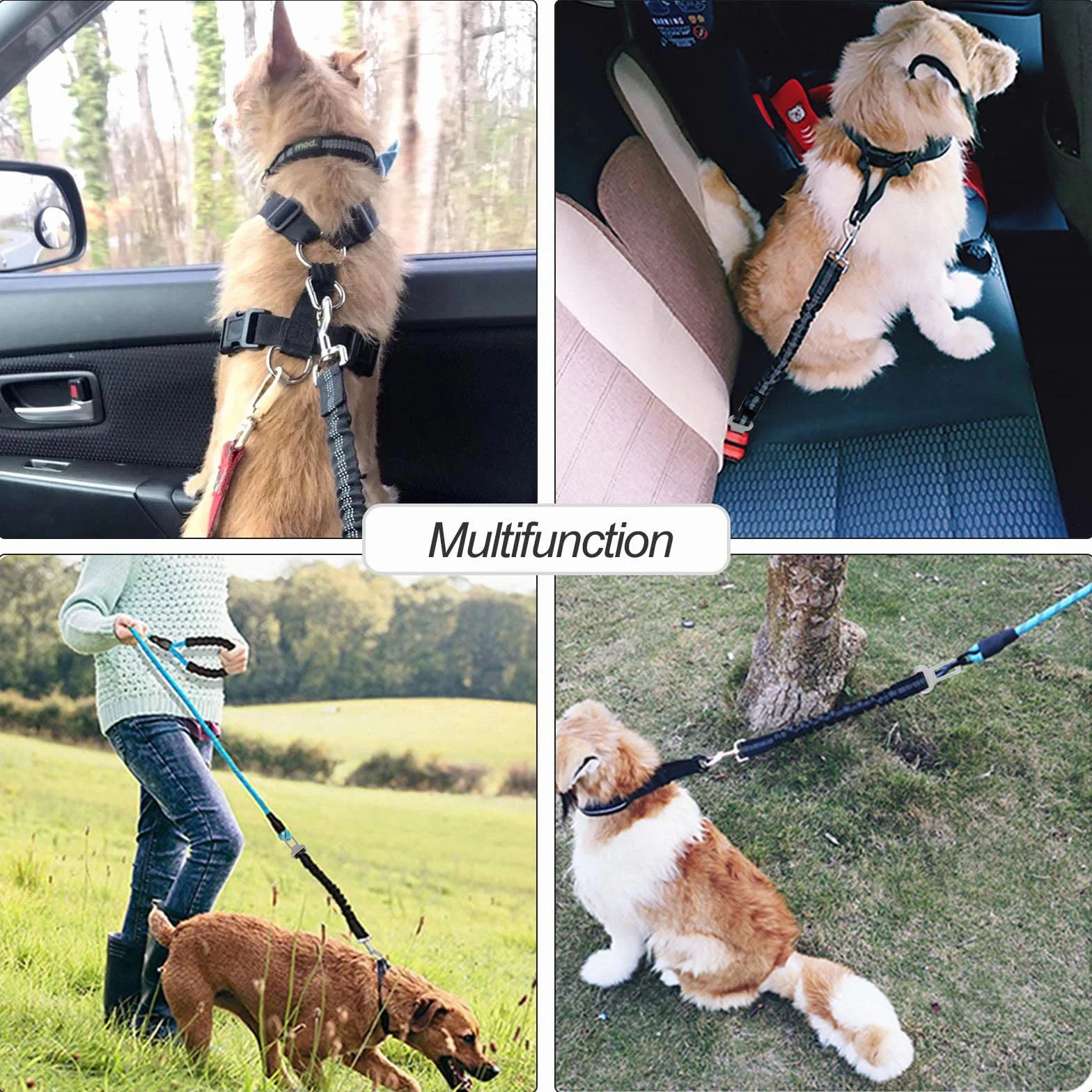 Redamancy Ceinture Securite Chien Voiture Harnais avec Absorption des Chocs Mousqueton
