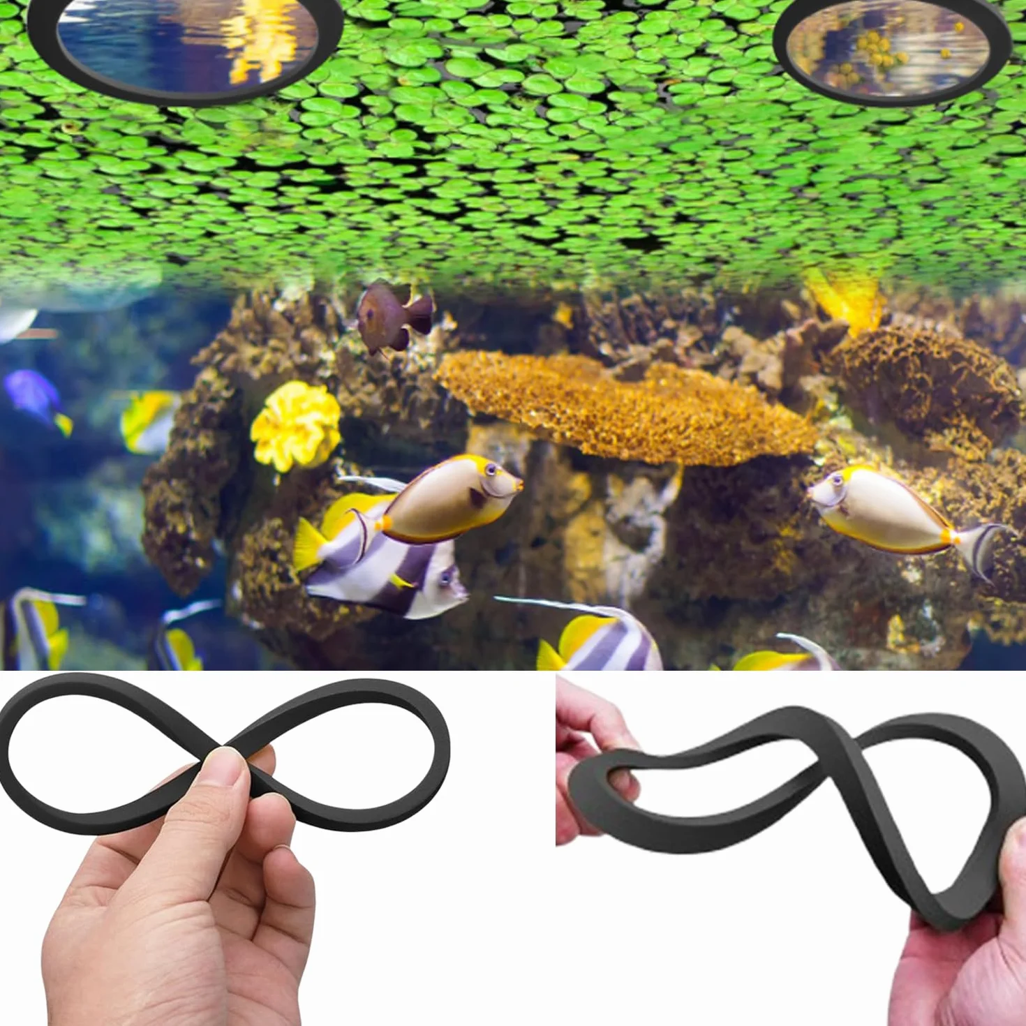 Lot de 10 Anneau Plante Flottante, Anneaux De Plantes pour Aquarium, Corral De Plantes Flottante, Anneau d'alimentation Aquarium, Rond Anneau d'alimentation pour Poisson (5 Tailles-Noir & Vert)