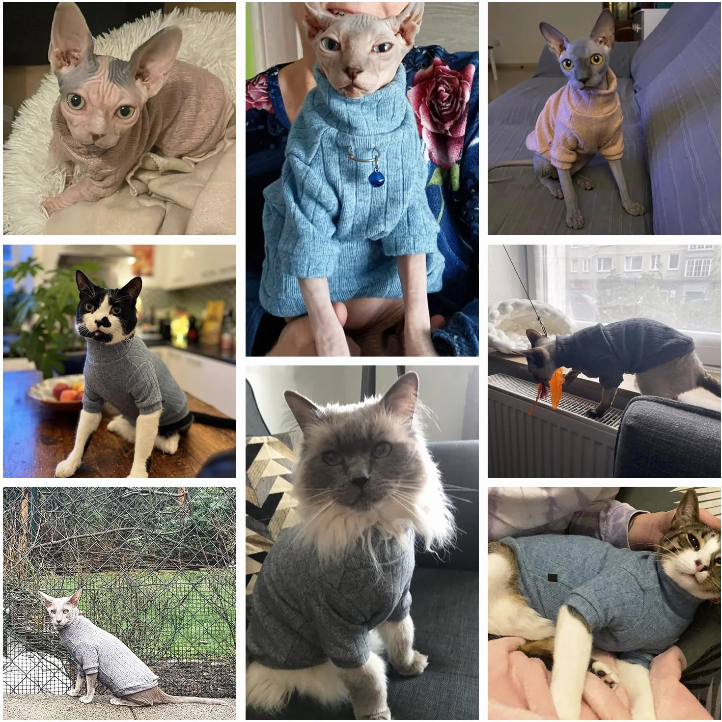 Pull à Manches Longues pour Chat Sphynx, Veste d'Hiver sans Poils