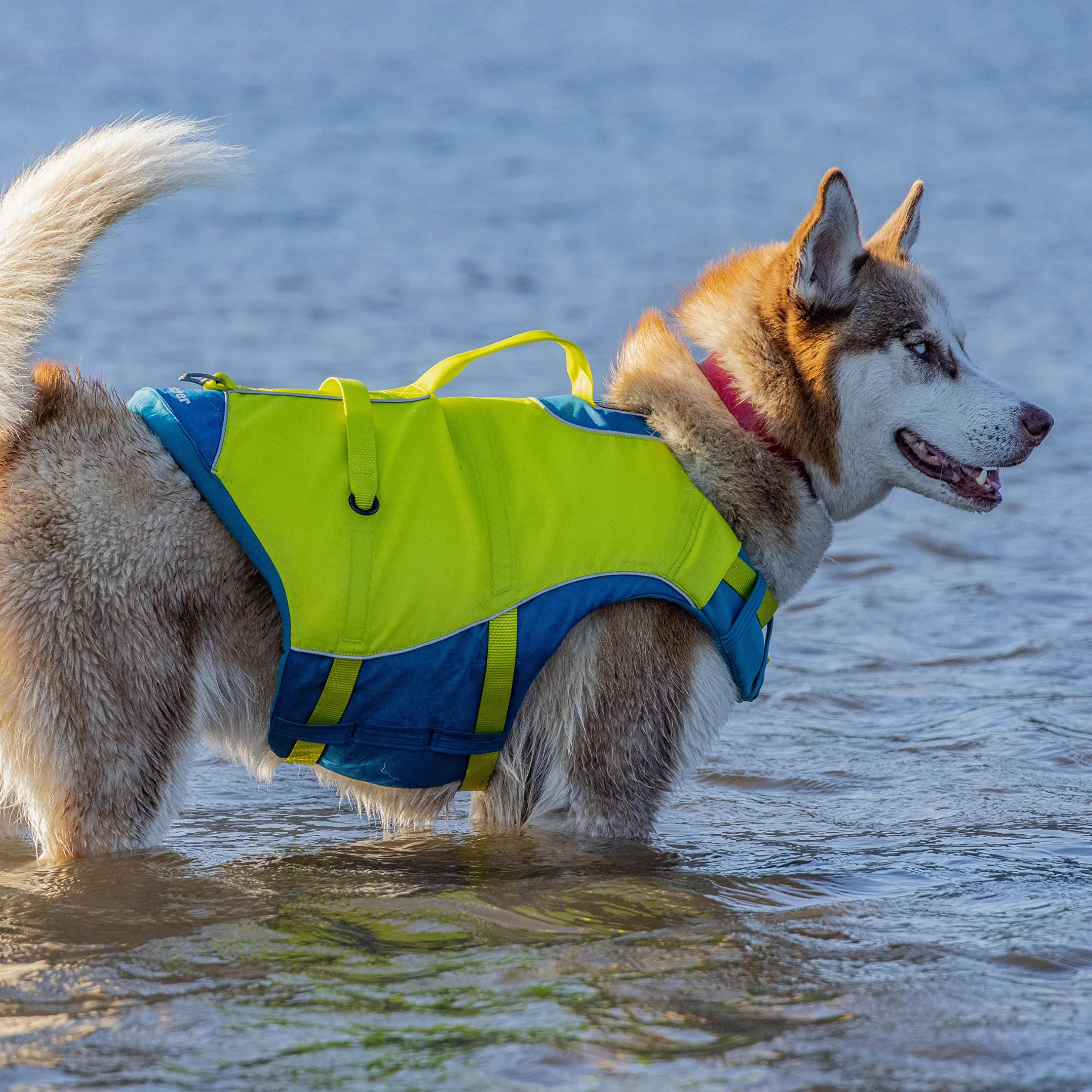 Kurgo Surf n' Turf Gilet de Sauvetage pour Chien, Gilet de Sauvetage pour la Natation et Le Bateau, Gilet de Sauvetage pour Chien avec poignée de Sauvetage et Accents réfléchissants, Lavable en