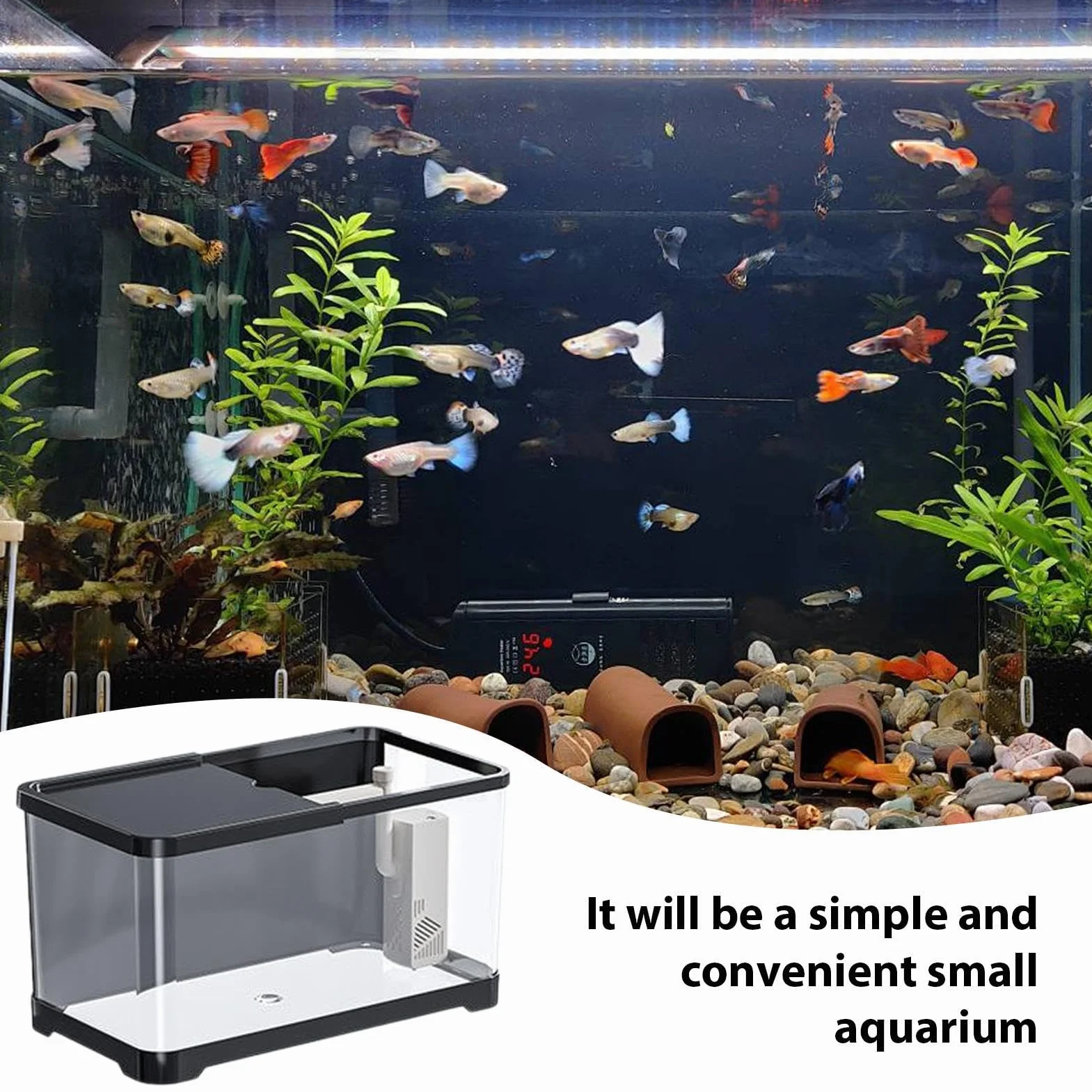 Kit de Démarrage d'Aquarium Polyvalent - Pour Poissons Rouges, Guppy - Petit Ensemble Décoratif d'Eau Salée