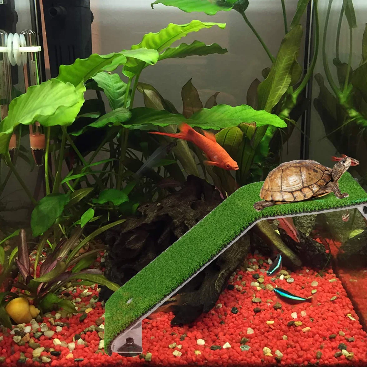 SOONHUA Tortue Aquarium Simulé Pelouse Plateforme Échelle pour Tortues Grenouilles Tritons Salamandres