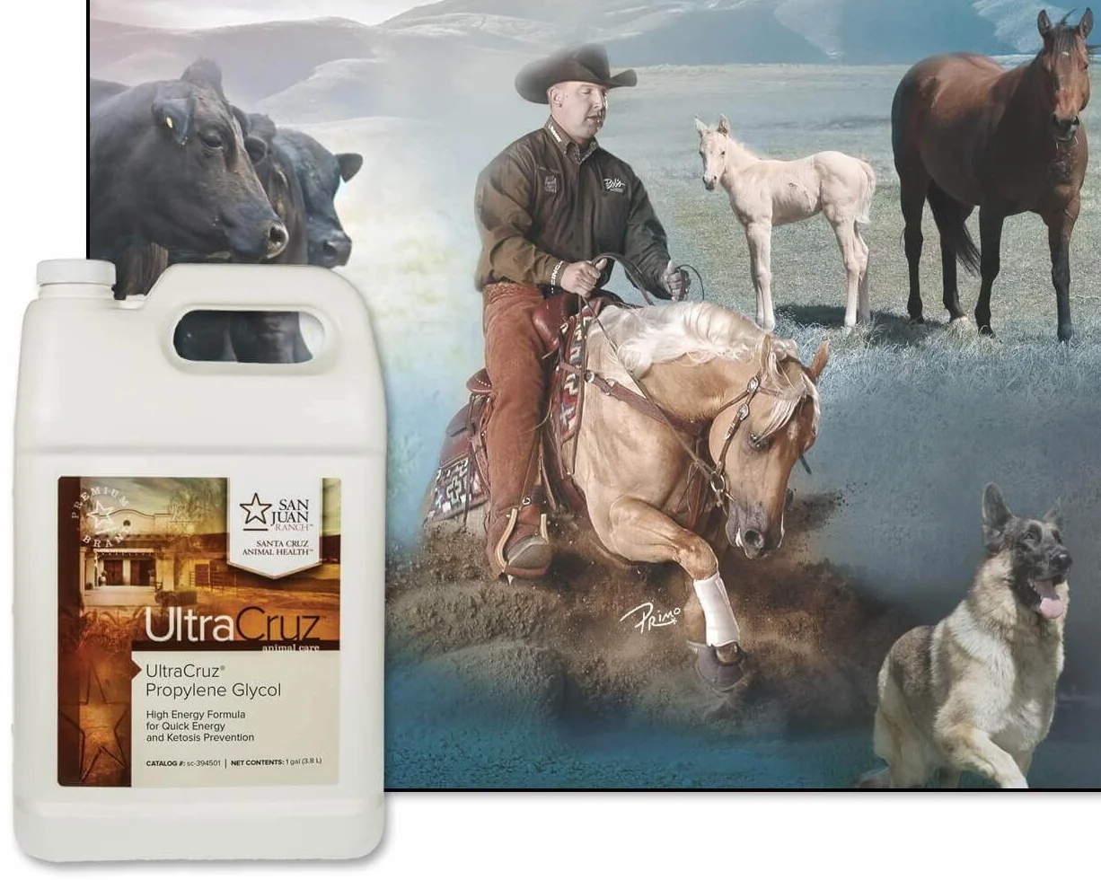 UltraCruz Glycol de Propylène pour Bovins, Chèvres, Moutons et Cochons