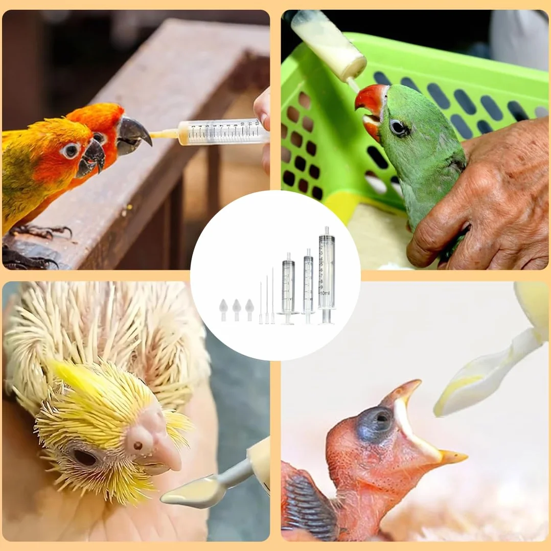 GXGM 1 Jeu Nourrissage Oiseaux, Contient Un Feeder de 3/5/10 ML+Un Cathéter de 8/12/15 cm+3 Cuillères, Convient aux Oisillons et aux Perroquets, Accessoire pour Les Petits Animaux Domestiques
