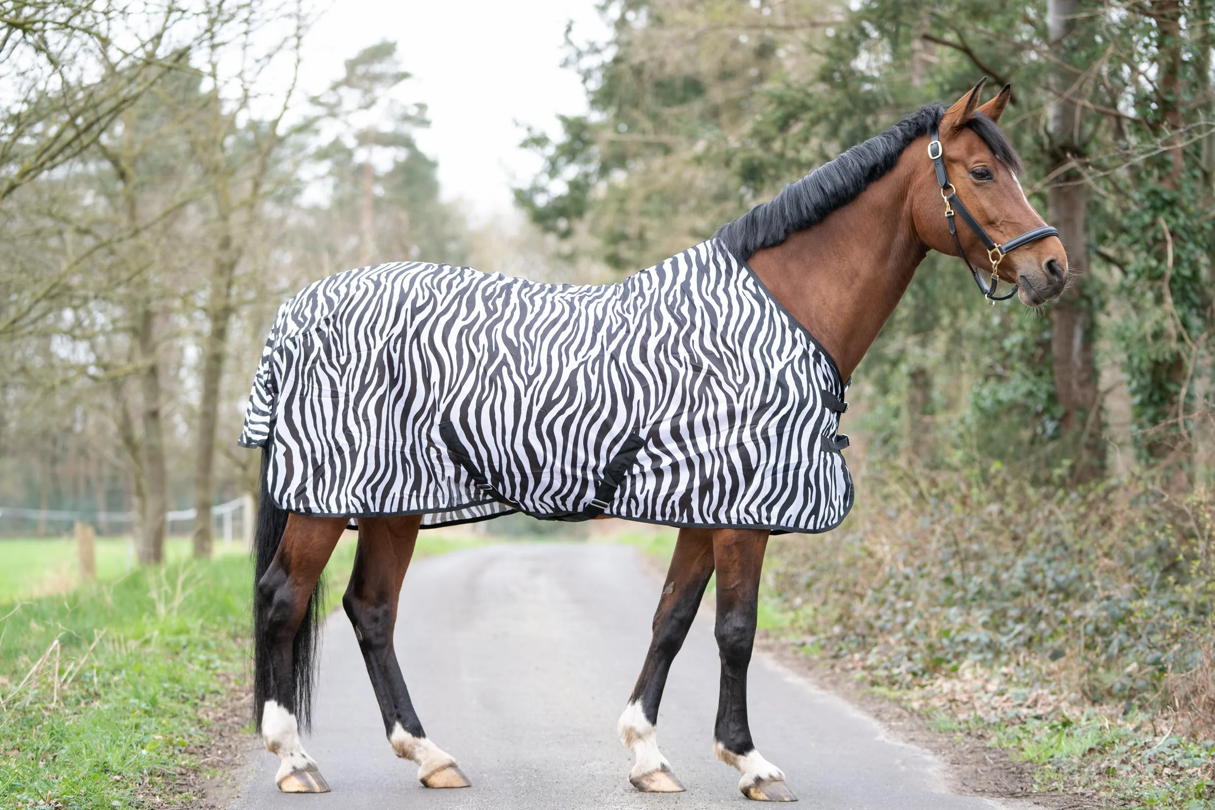 HKM Zebra Couverture Anti avec Sangles Crois Blanc/Noir 125 cm