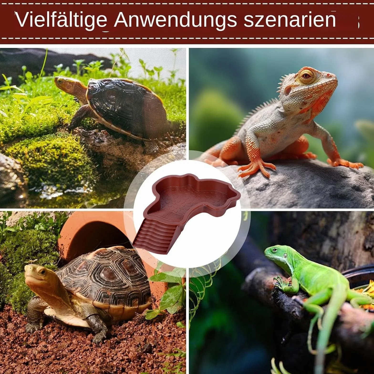 Bassin de bain pour tortues avec plateau incliné pour reptiles