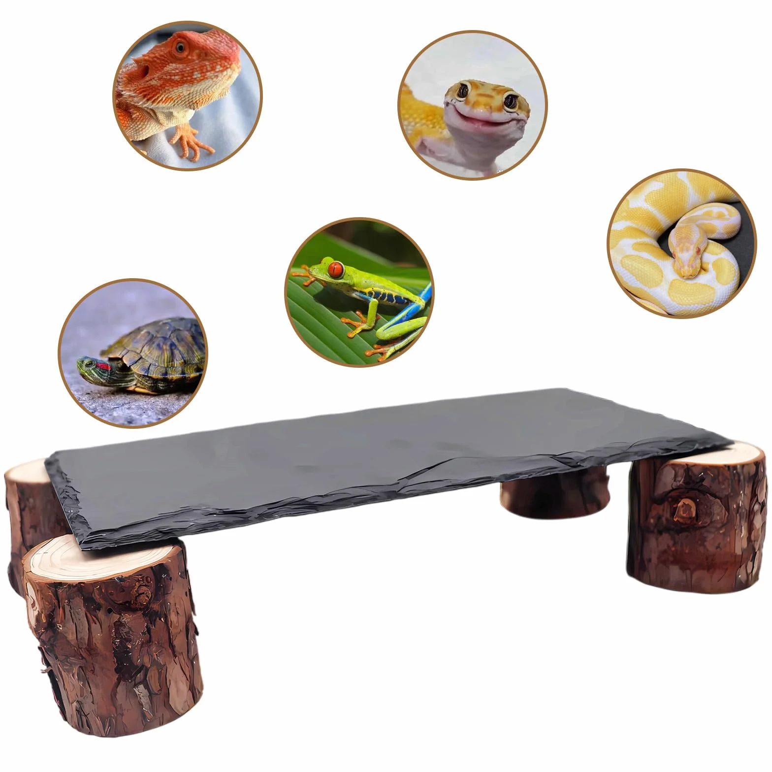 Dnoifne Plateforme de Baignade pour Reptiles – Roches en Ardoise avec Structure en Bois, Cachettes et Grottes pour Gecko Léopard, Accessoires de Terrarium pour Dragon Barbu, Python Royal, Tortue