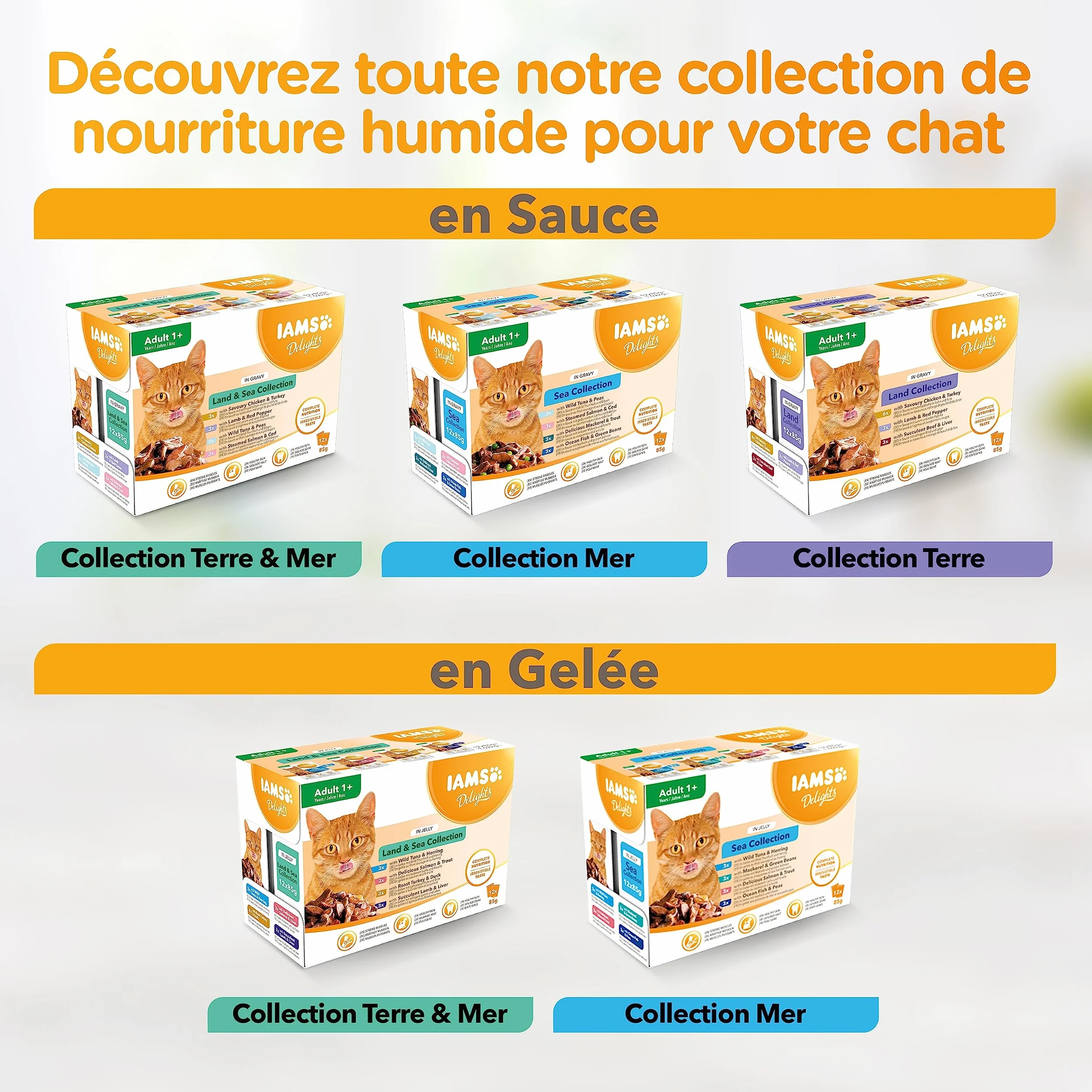 IAMS Nourriture Humide en Sauce Poulet pour Chaton 12 Sachets x 85 g