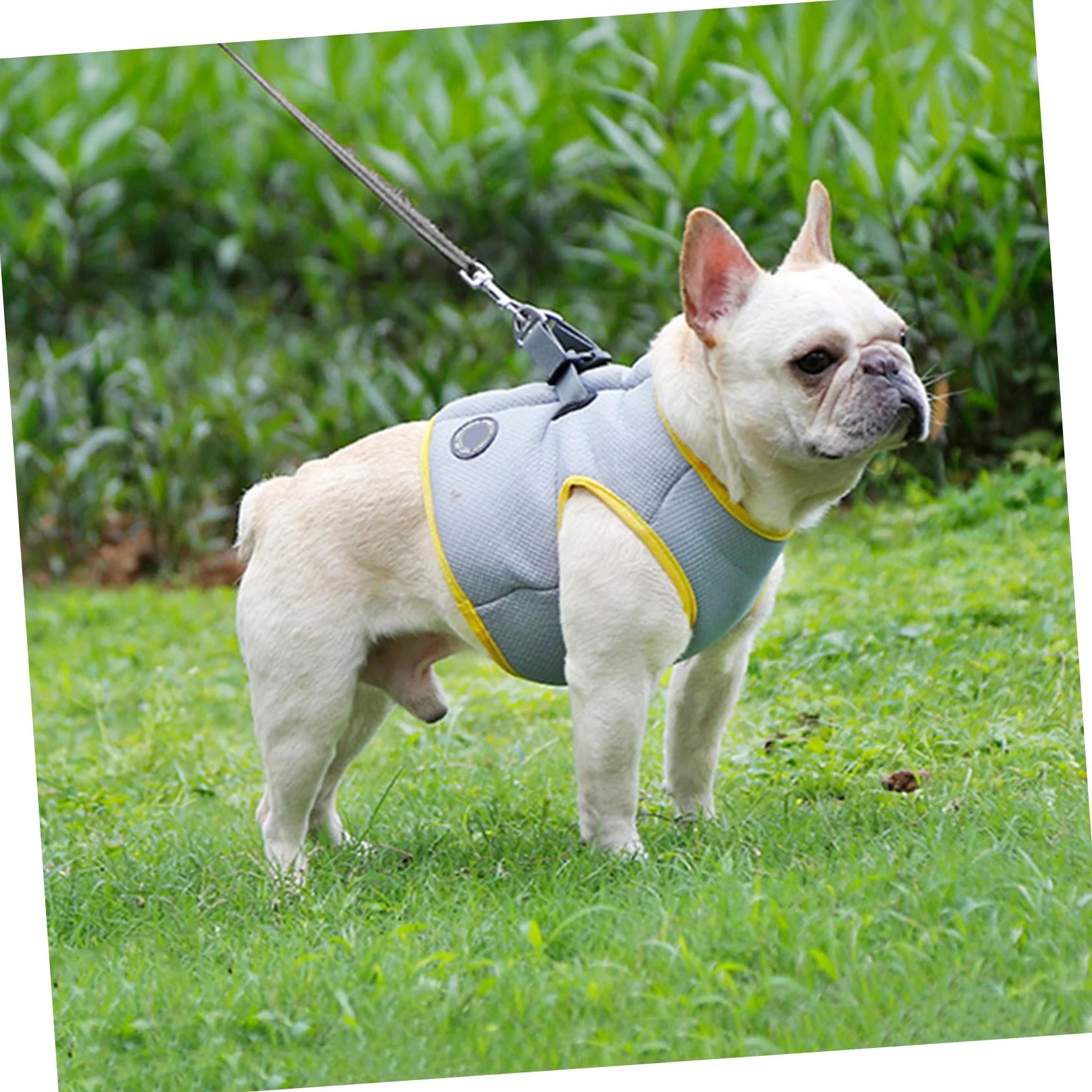 Sangle De Traction Pour Animaux De Compagnie Débardeurs Veste De Refroidissement Veste Rafraîchissante Pour Chien Camisoles Cool Gilet Sensation De Fraîcheur La Laisse Du Chien