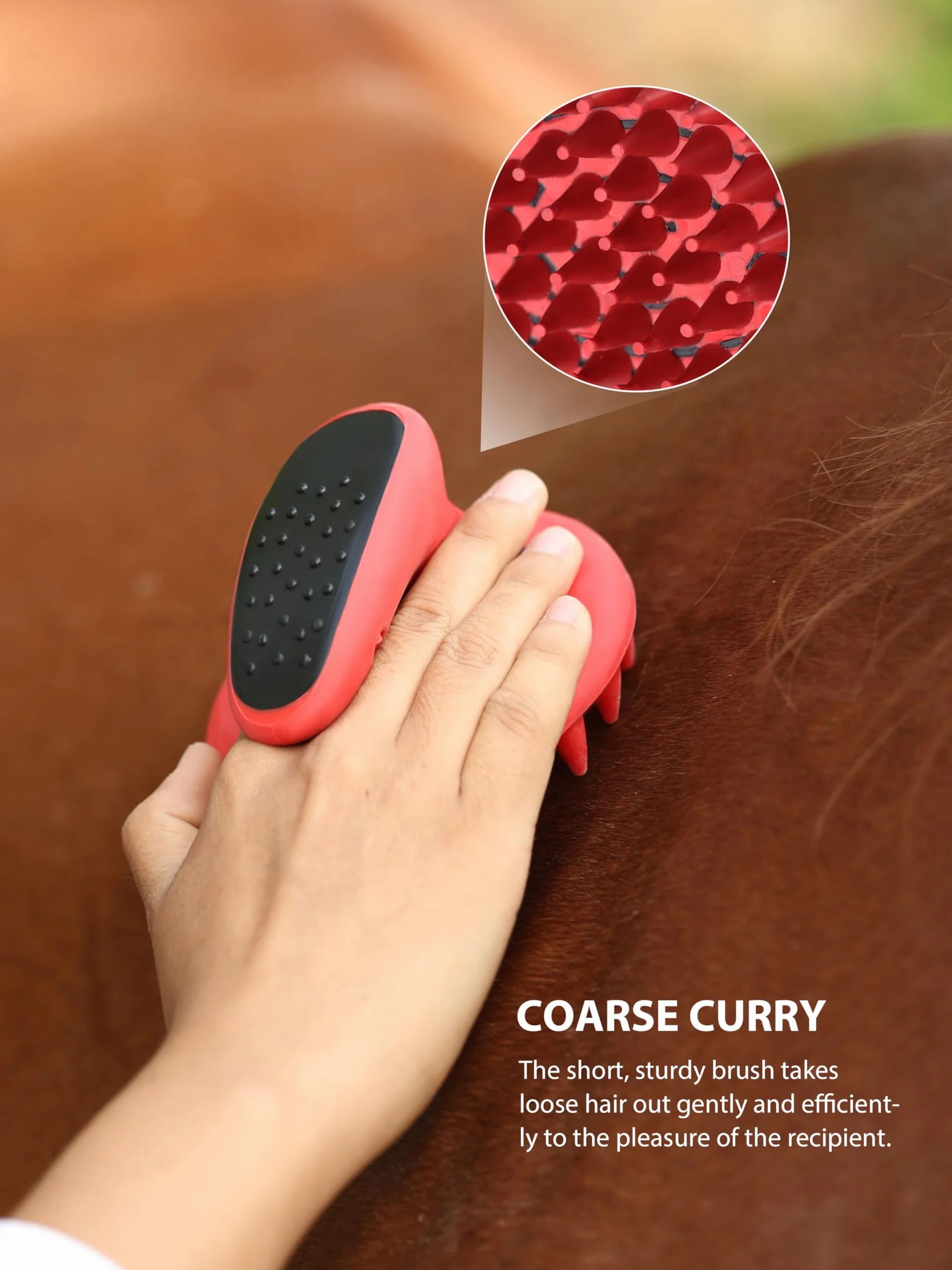 Harrison Howard Kit de 7 brosses de toilettage pour cheval avec sac de rangement Equine Care Rouge