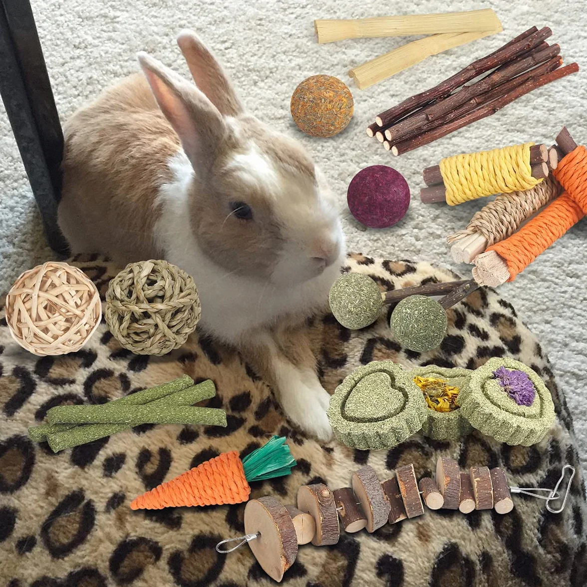 Jouets de Lapin 18 pièces Bâtons de Foin de Timothée Naturels Bâtons de Bois de Pommier