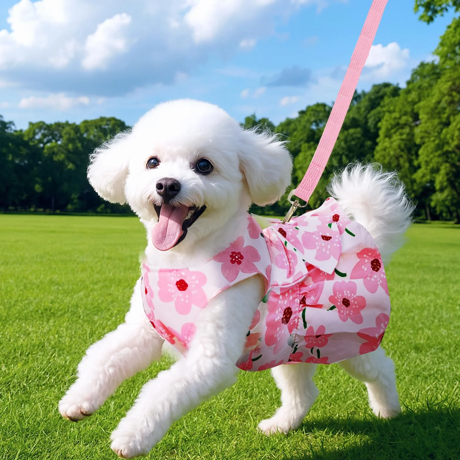 Robe Harnais pour Chien avec Laisse pour Petit Chien Jupe Respirante (L)