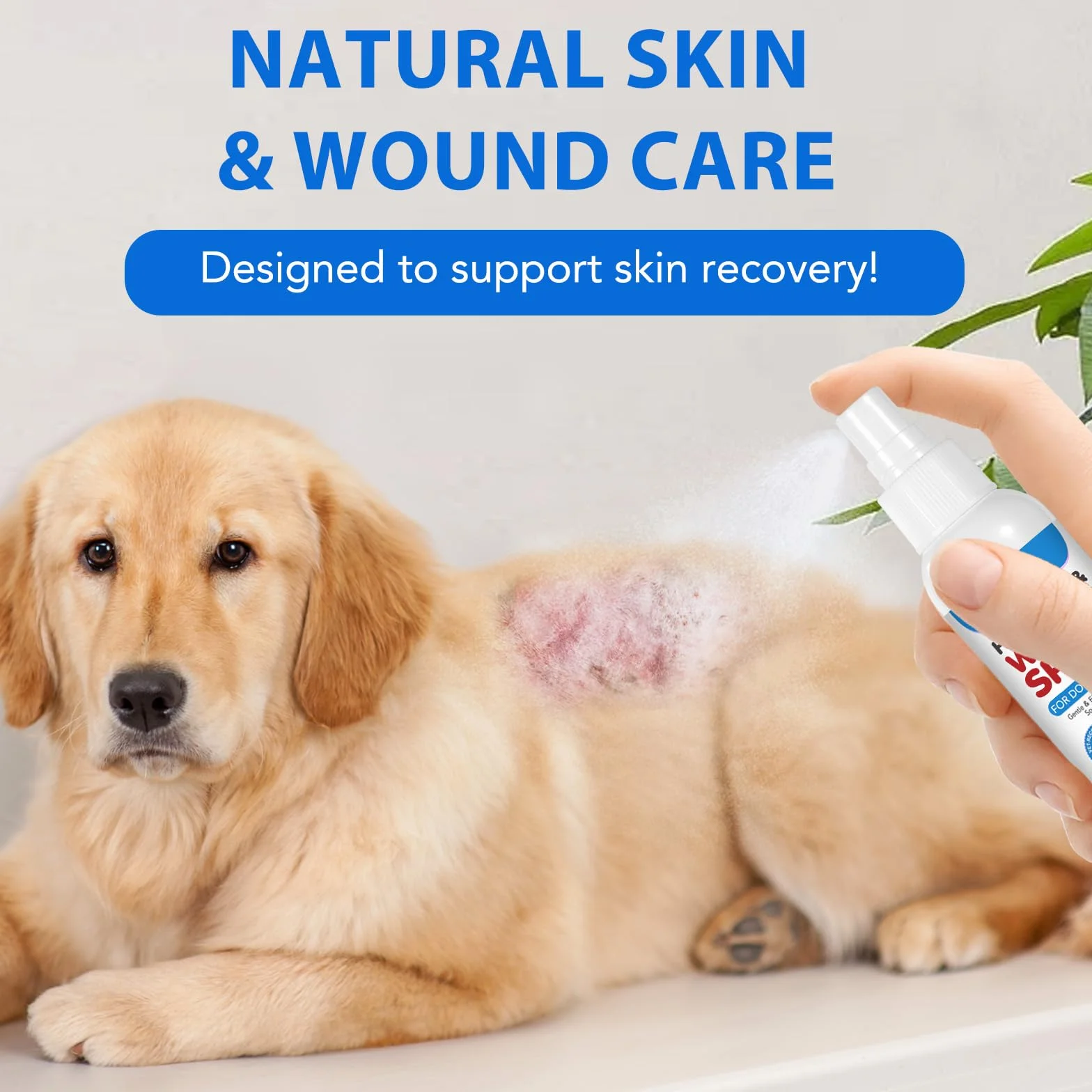 Spray Vétérinaire pour Plaies Chiens Chats 120ml Anti-Démangeaisons Anti-Inflammatoire