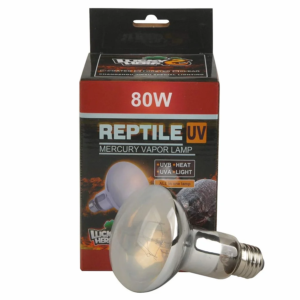 Lucky Herp Ampoule UVA UVB pour reptile 80 W E27 R80