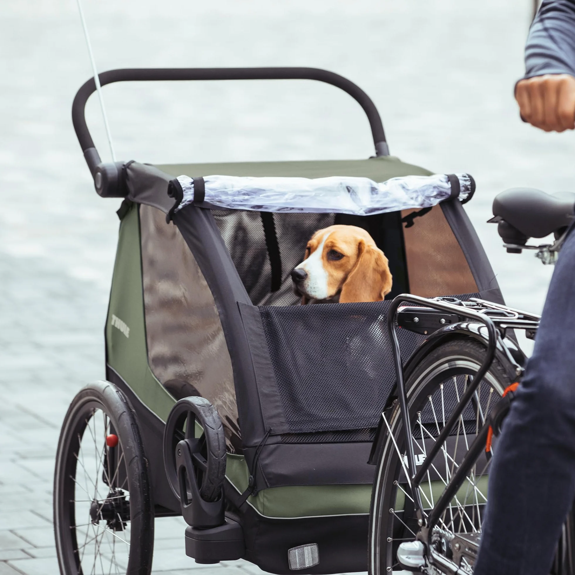 Thule Courier Remorque De Vélo Enfants Chiens Cargo Vintage Green