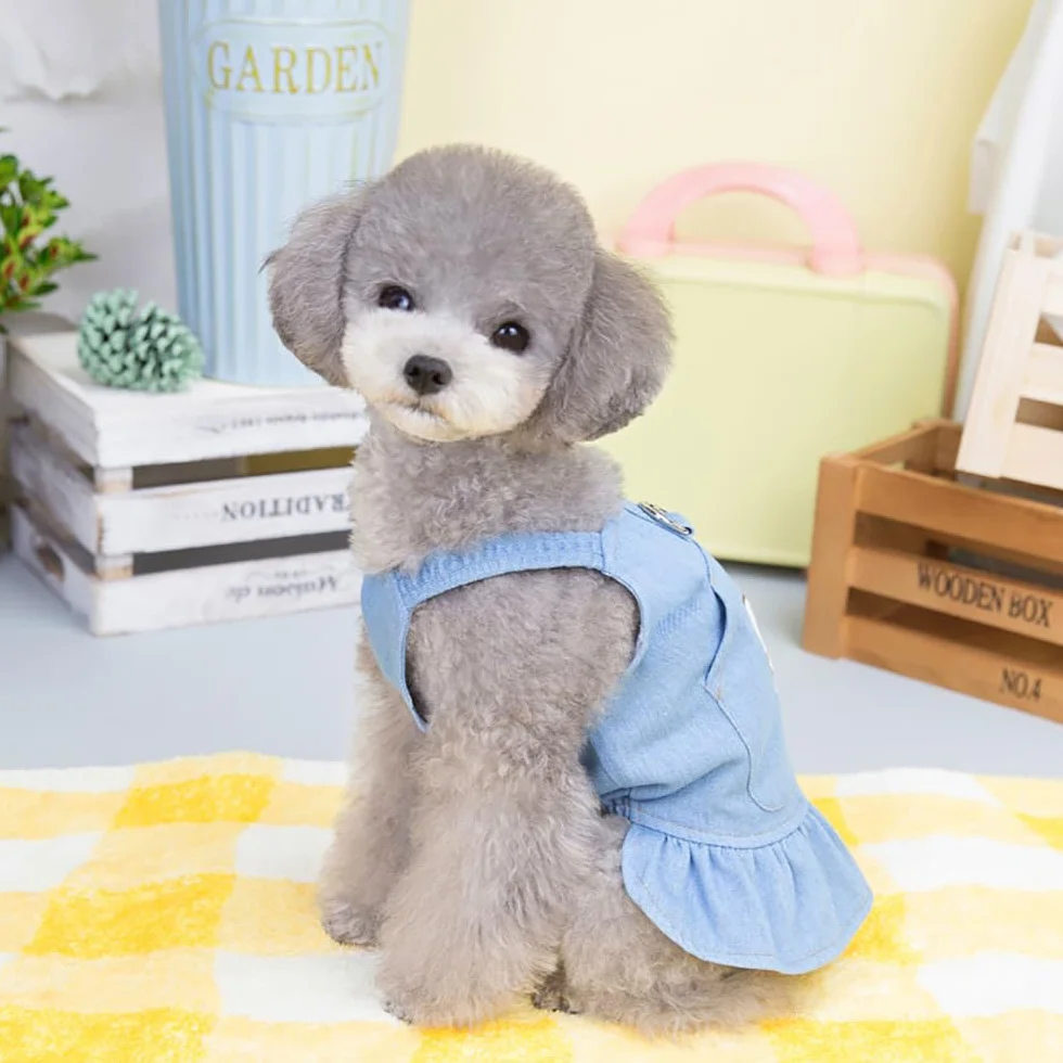Jupe de Luxe pour Chien Robe Princesse Mariage Soirée Chiots Petite Fille