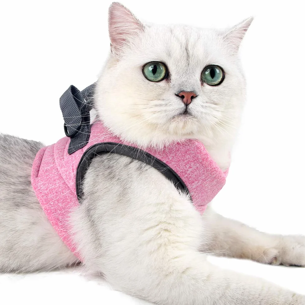 Harnais pour Chat Ultra-Léger Anti-Fuite Réglable avec Laisse pour Chiot Lapin Furet