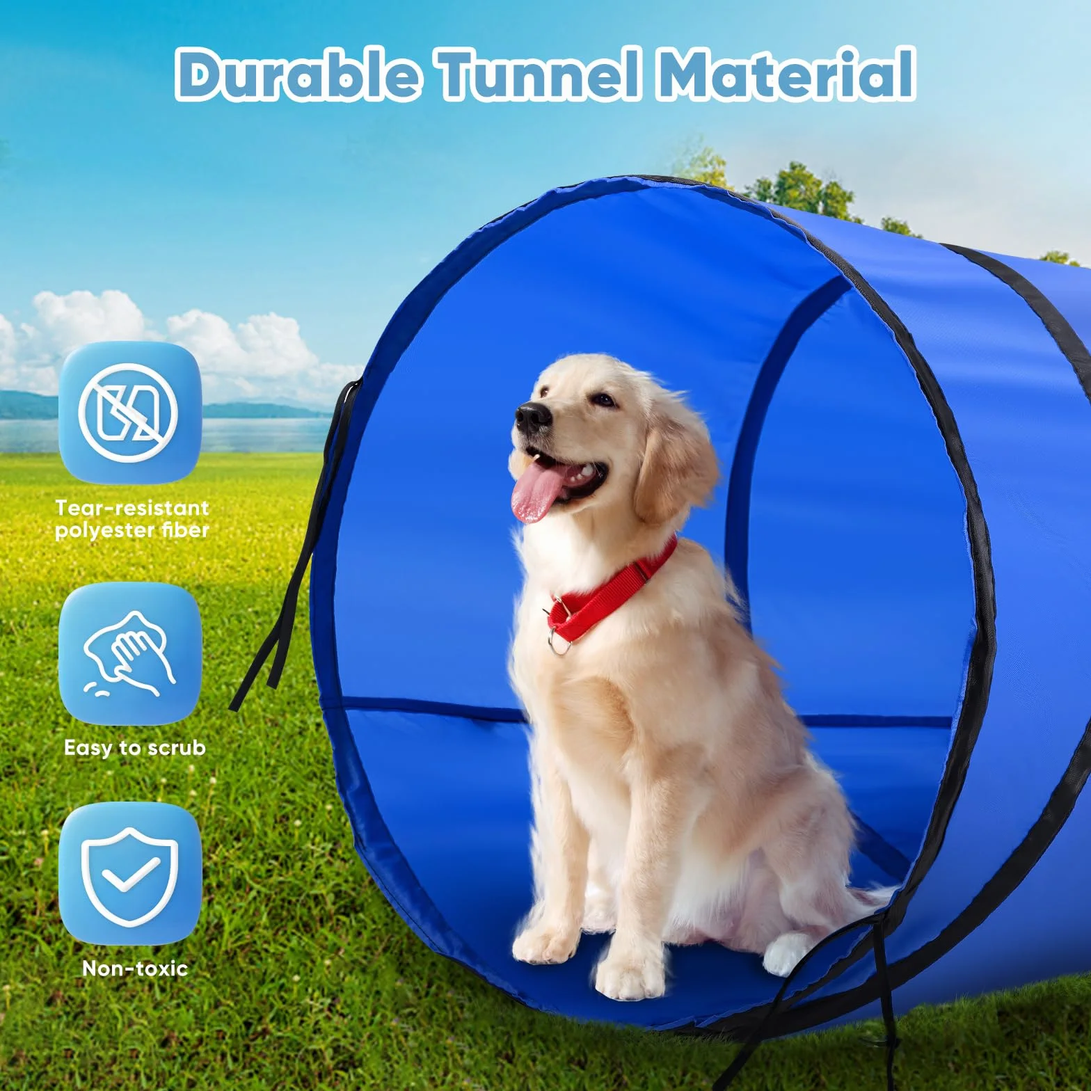 Agility Kit pour Chien avec Tunnel 170 cm, 8 Barres de Slalom, Hauteur réglable