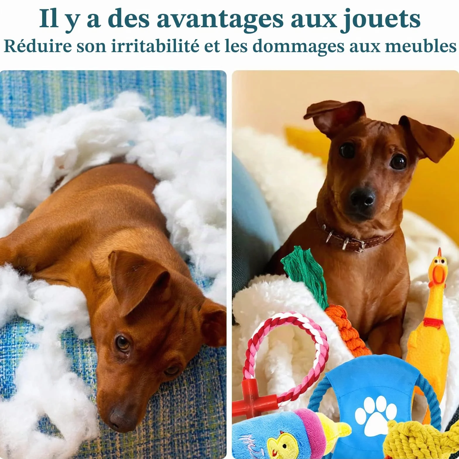 JOYBOY Jouets pour Chien 18 Pièces Corde à Mâcher Durable Indestructible