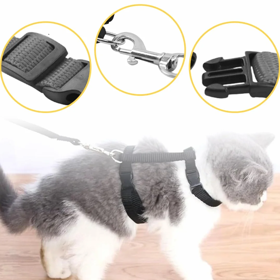 Harnais pour chats réglable noir 120x1cm, harnais et laisse anti-fuite pour chaton petits animaux