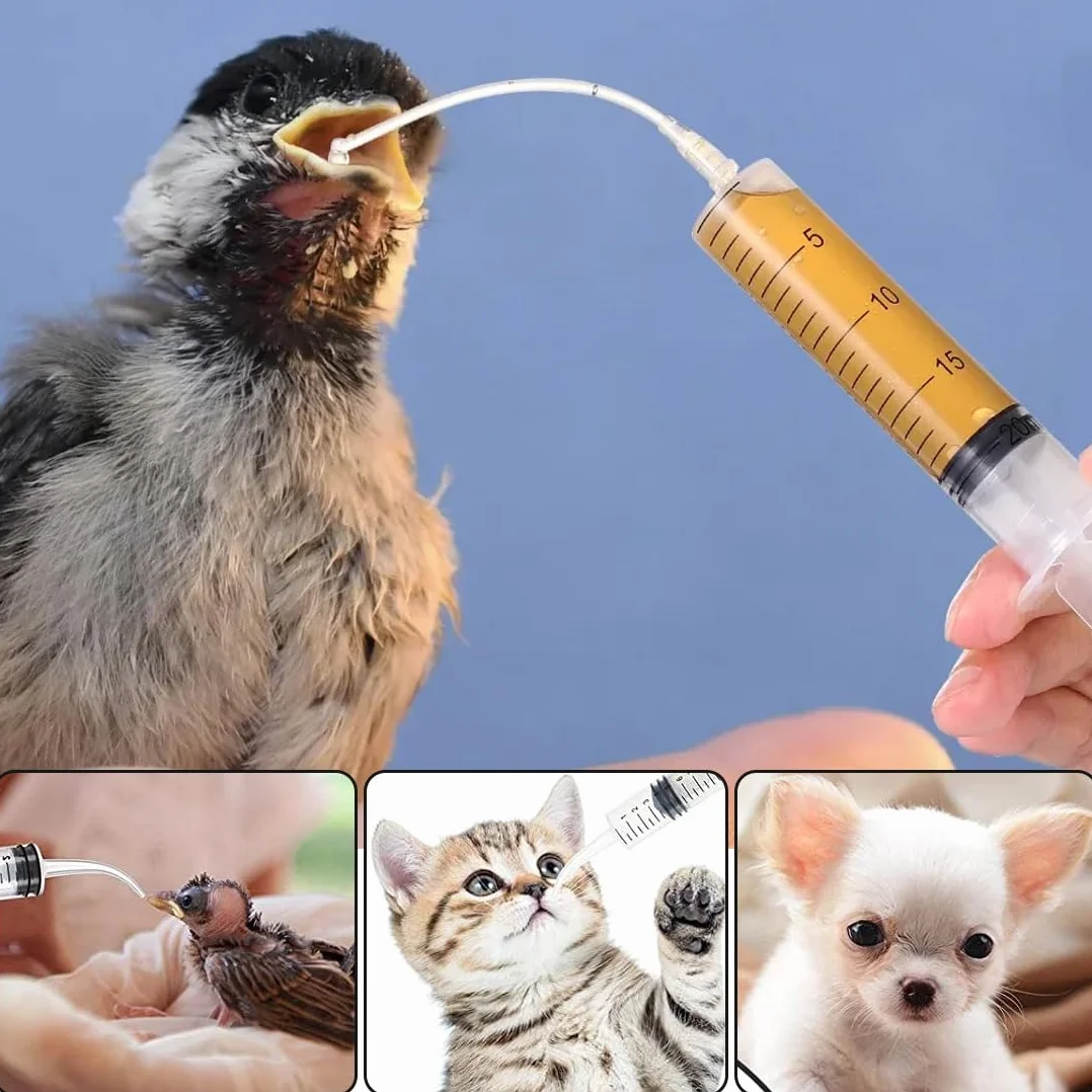 Seringue 10 ml Nourrissage Oiseaux Sondes Alimentation Oisillons Bébé Oiseau