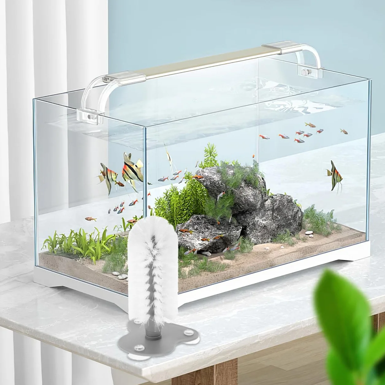 TOYANDONA Brosse de nettoyage pour tortue avec ventouse puissante en ABS Anti-rayures Accessoire réservoir