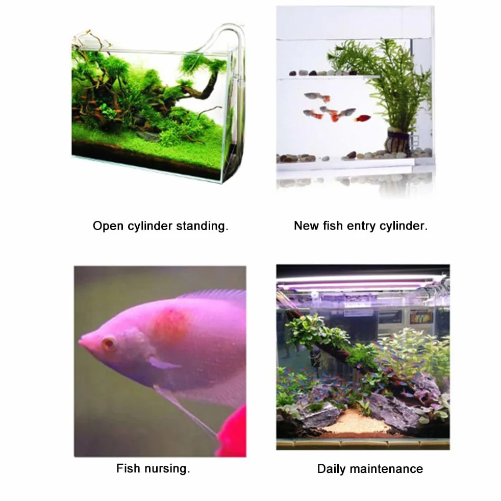 Alomejor Poudre Jaune Instantanée pour Aquarium 65 G Traitement Infections Poissons