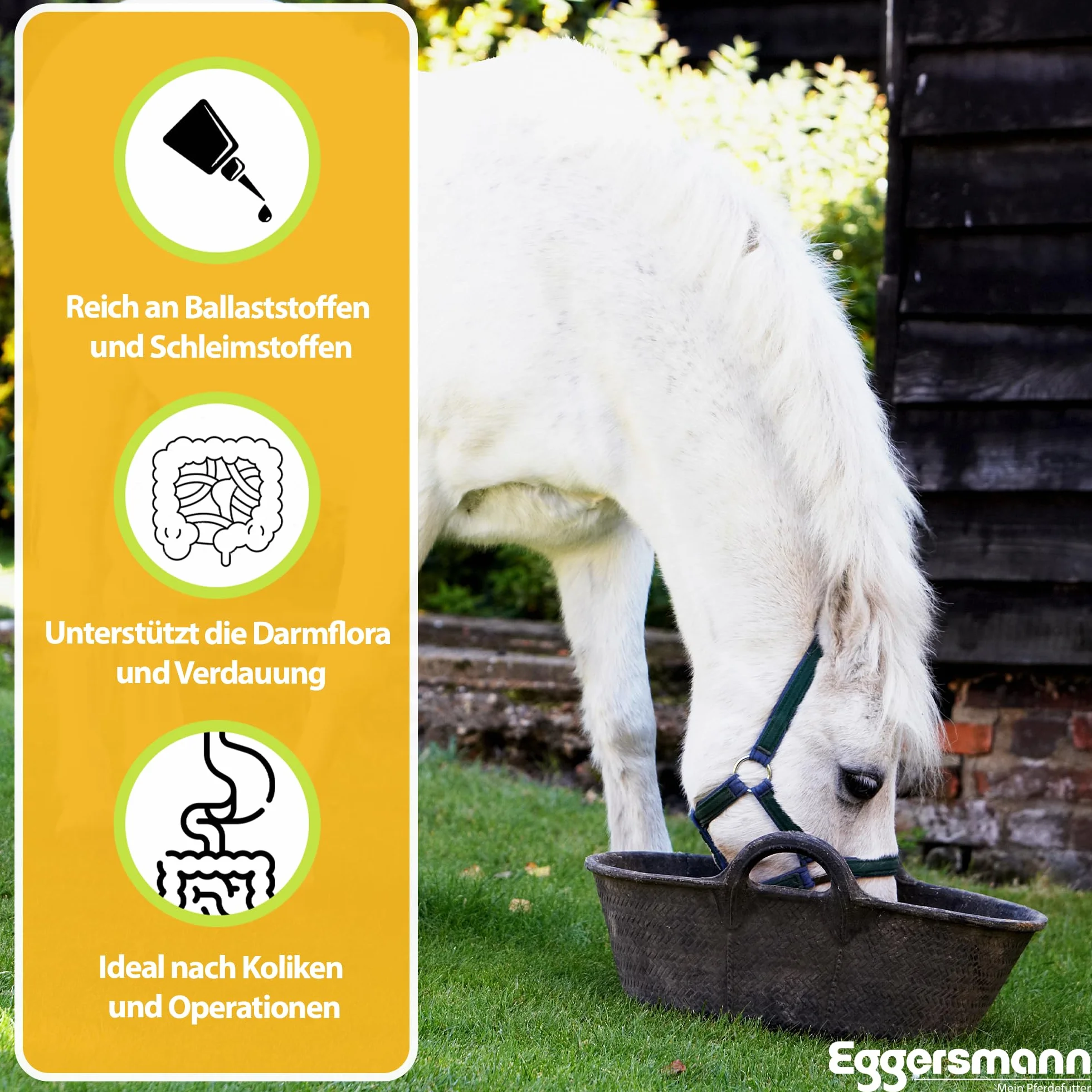 Eggersmann Mein Pferdefutter EMH Mash 15 kg Complément Alimentaire Chevaux Digestion Acides Gras