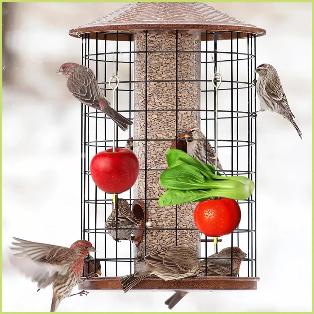 Mangeoire Perroquet en Acier Inoxydable, Jouet Perruche Porte-Fruits 22cm 17cm pour Cage Oiseau