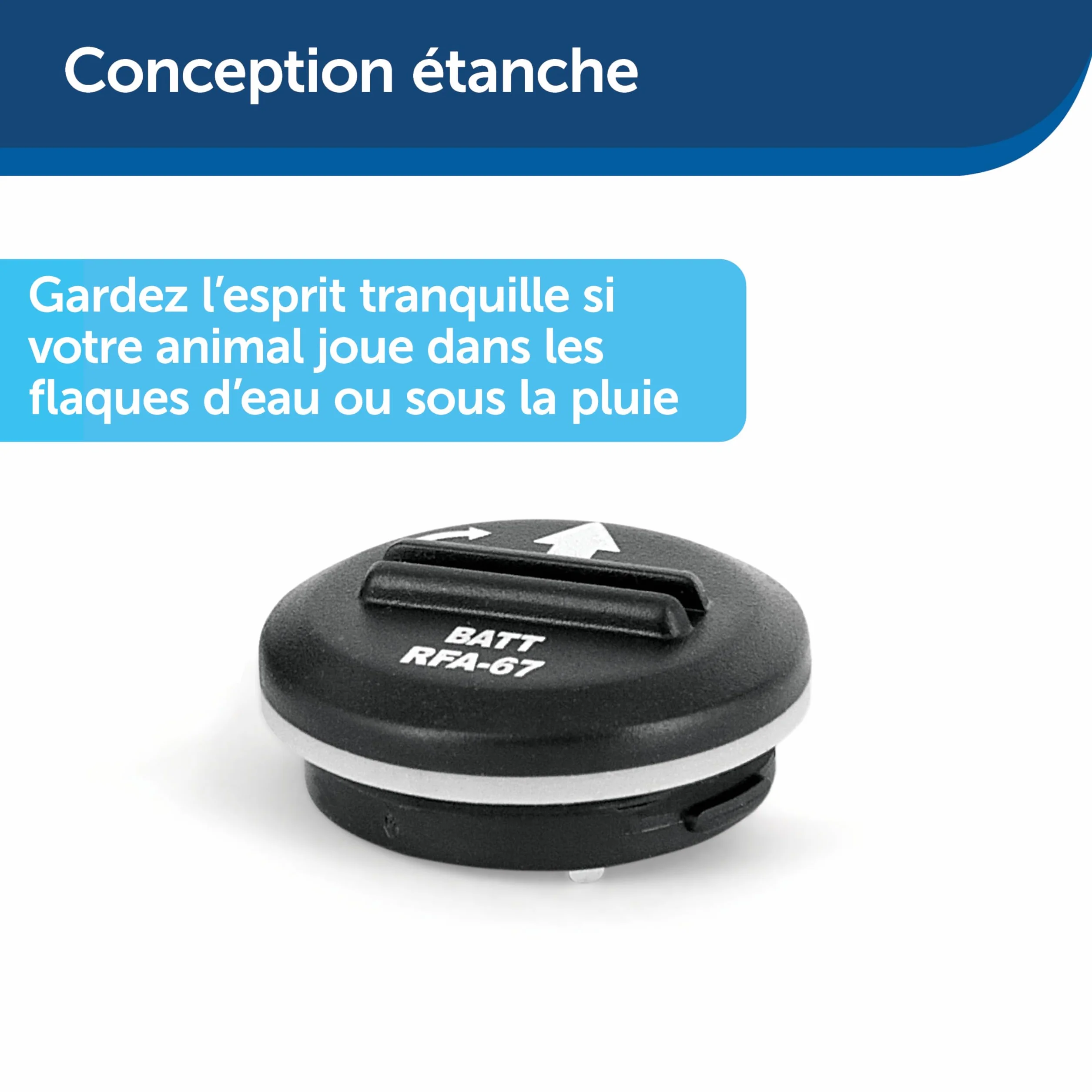PetSafe Batterie de Remplacement RFA-67 6V par 2 Piles Lithium Étanches