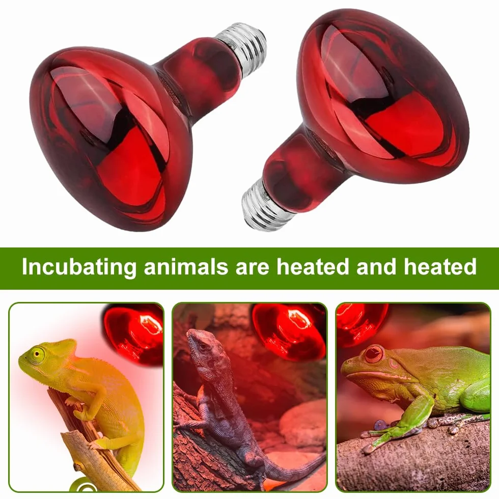 Reptile Ampoules Chauffantes 100W Lampe Chauffante E27 Infrarouge Dimmable 2 Pièces
