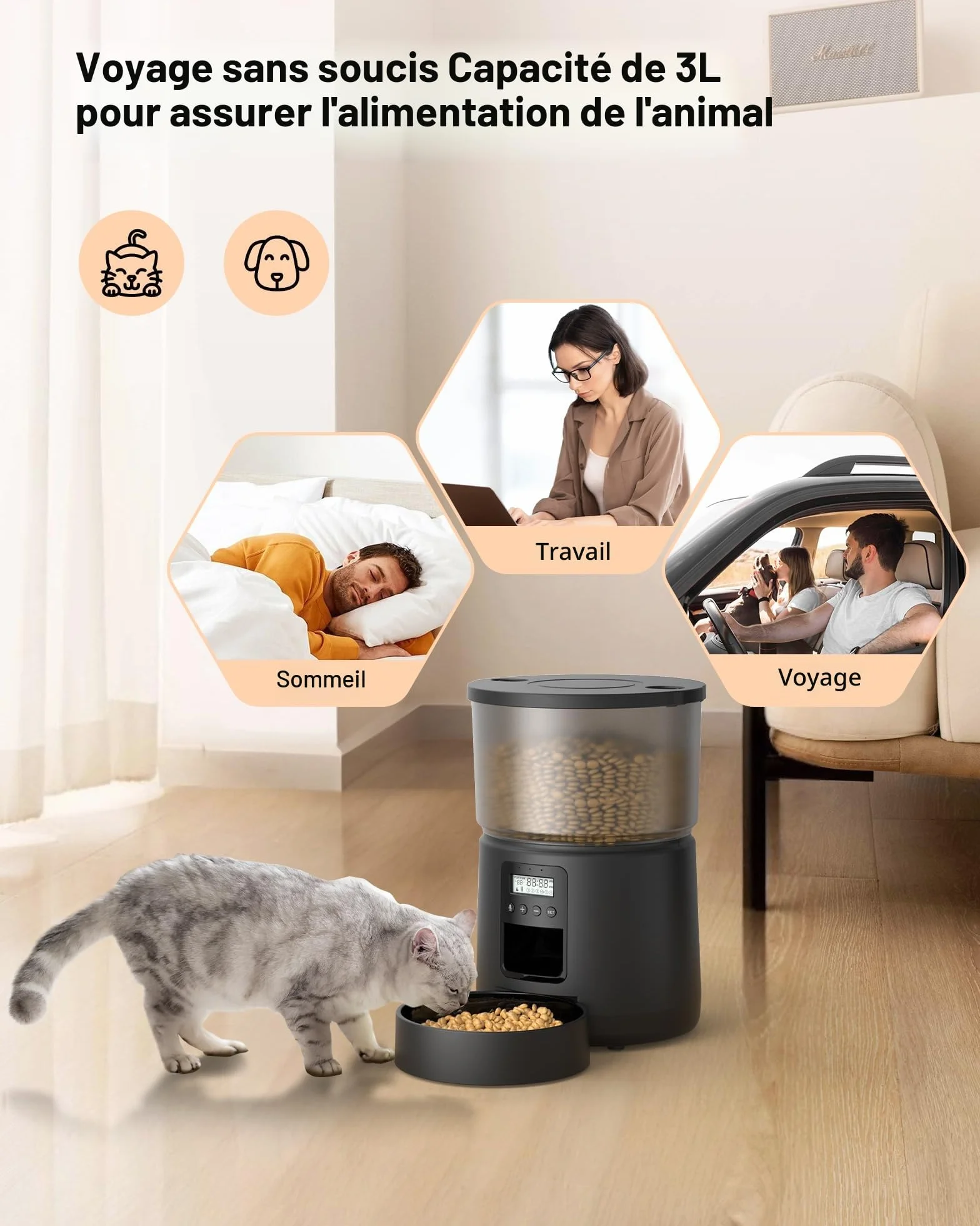 Distributeur Croquettes Chat Automatique avec Minuterie Programmable 1-6 Repas 3L Enregistrement 10s