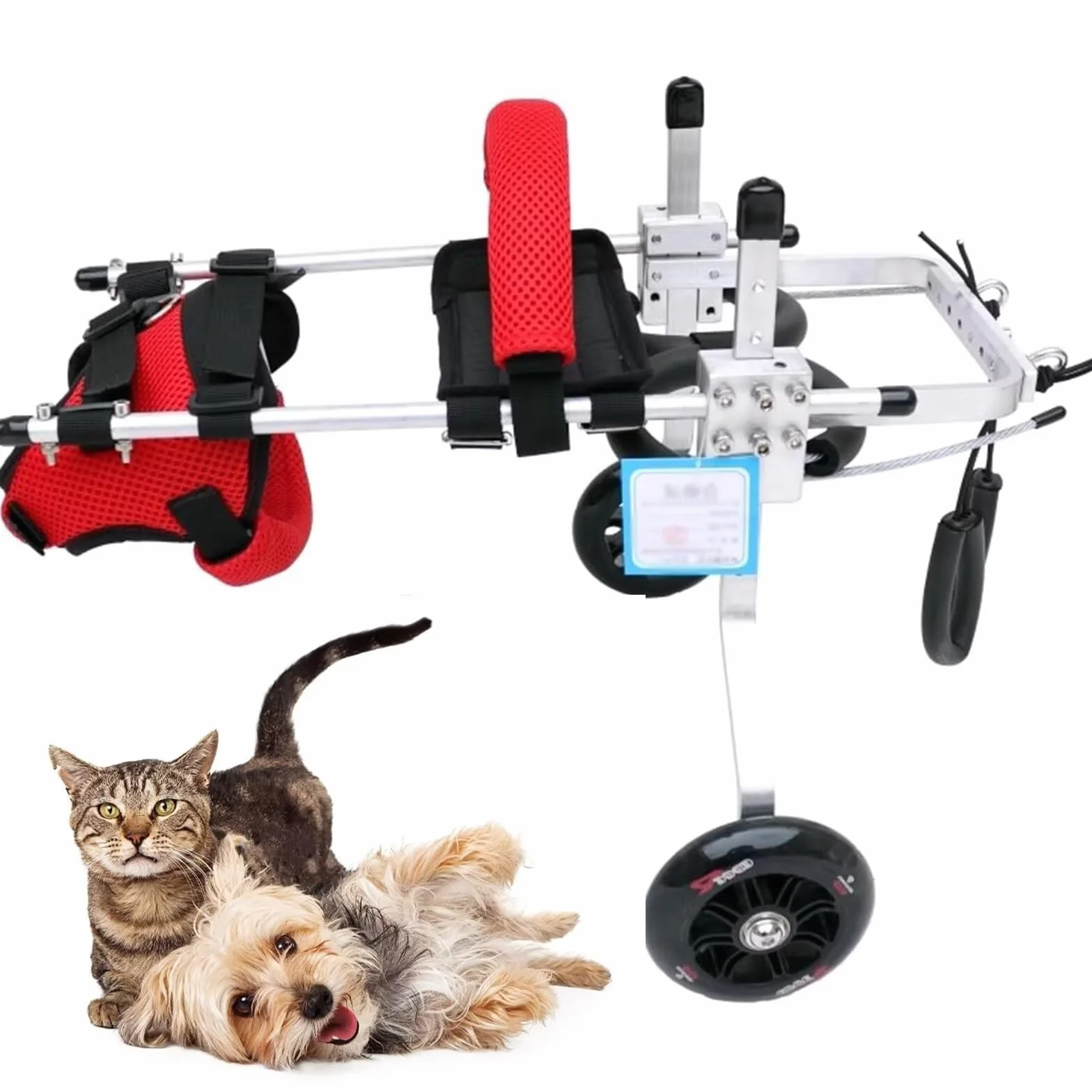 Fauteuil roulant pour chat paralysie patte arrière aluminium PET Walking Equipment Rehab trainer taille M