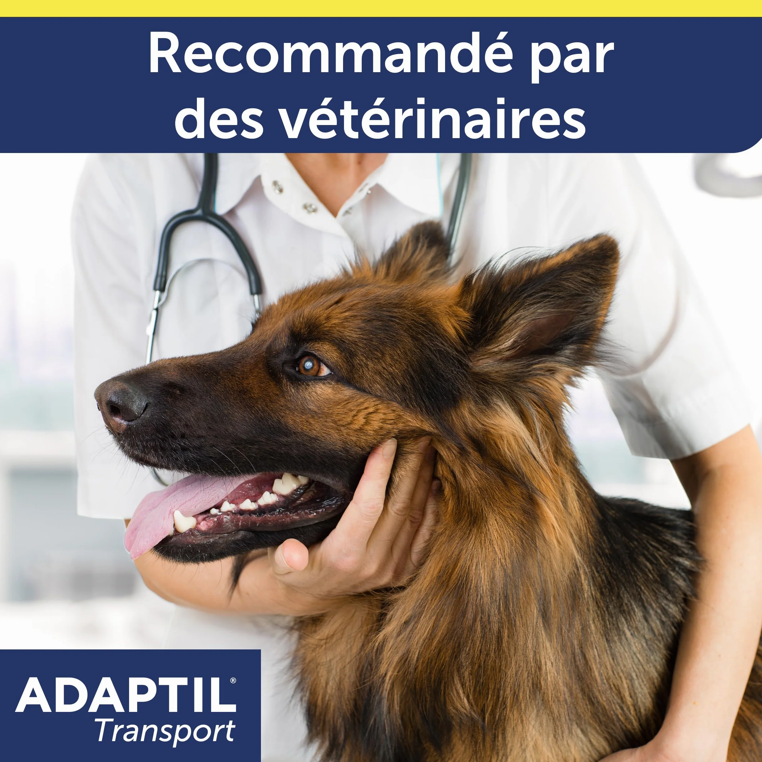 ADAPTIL Transport Spray 20ml Anti-Stress pour Chien