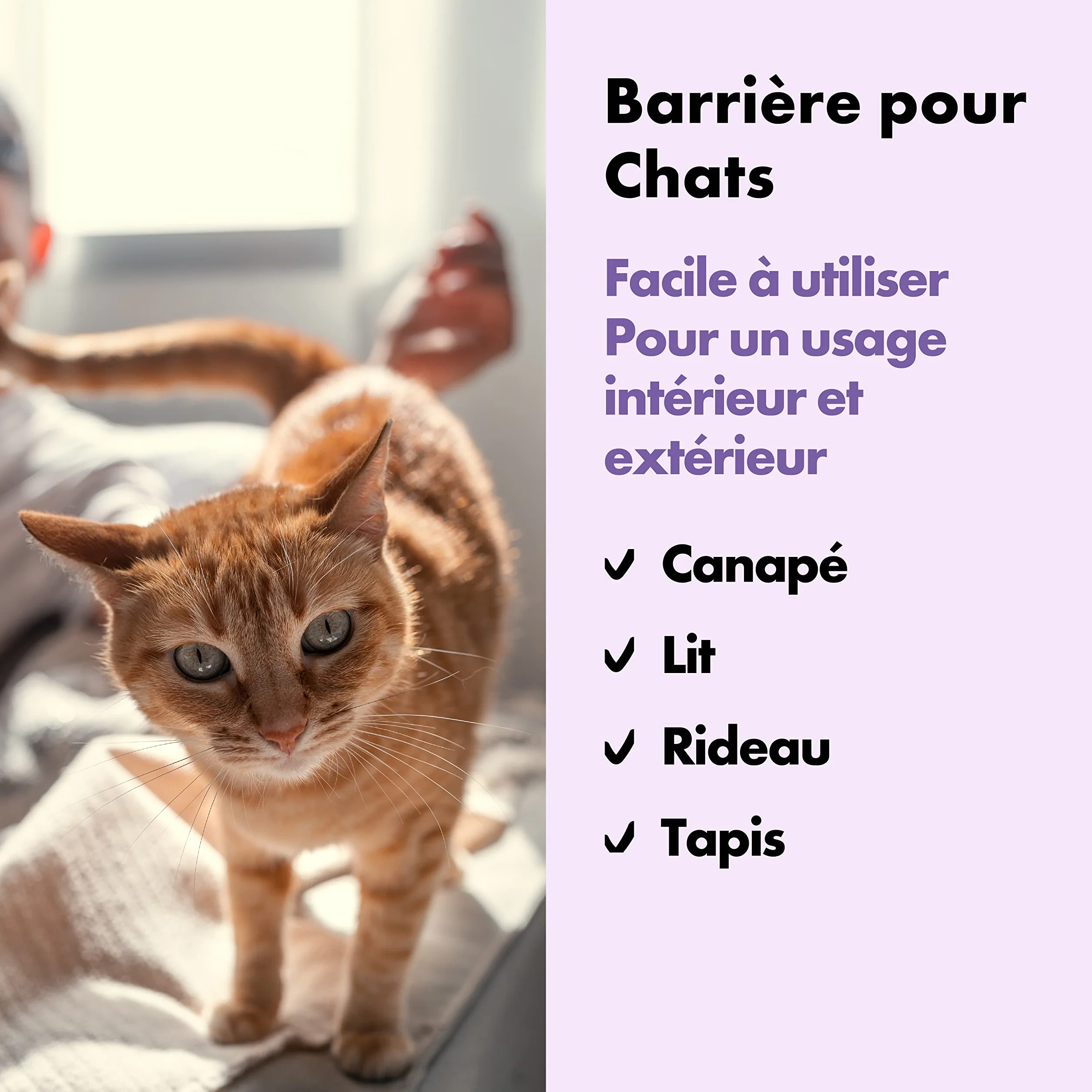 Catly Spray Anti Griffure Chat 250ml Éloigne Chats Chatons Fragrance Naturel Goût Amer Anti Chat Maison Marquage Urinaire Griffure Mordillage