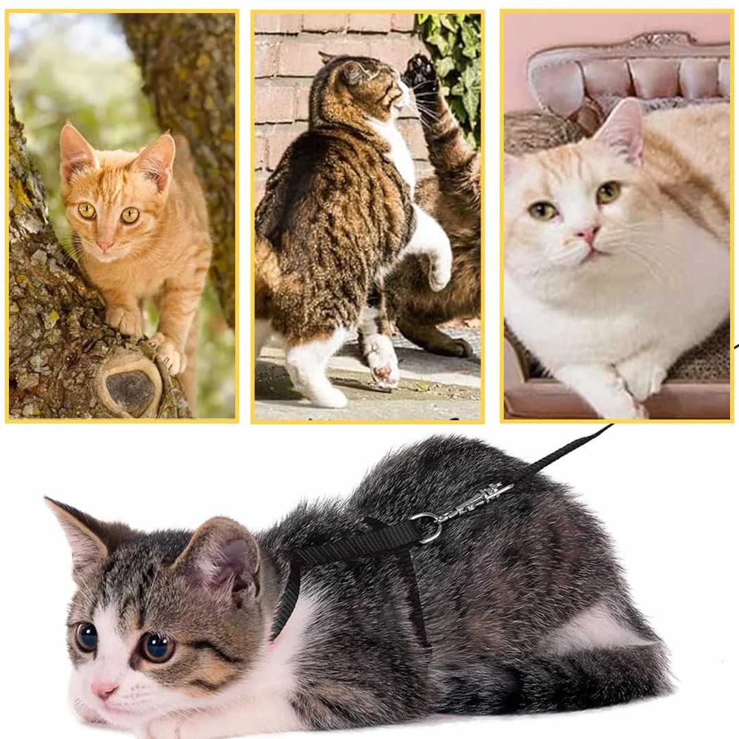 Harnais pour chats réglable noir 120x1cm, harnais et laisse anti-fuite pour chaton petits animaux