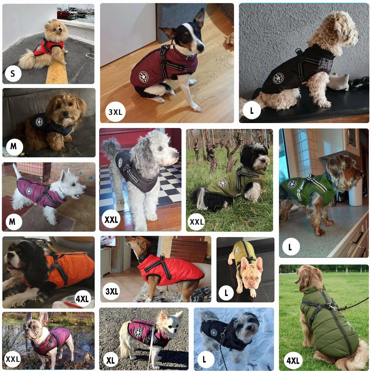 Aiboria Manteau d'hiver pour Chien Coupe-Vent Imperméable 2 en 1 Gilet avec Harnais Veste Chaud Rembourré