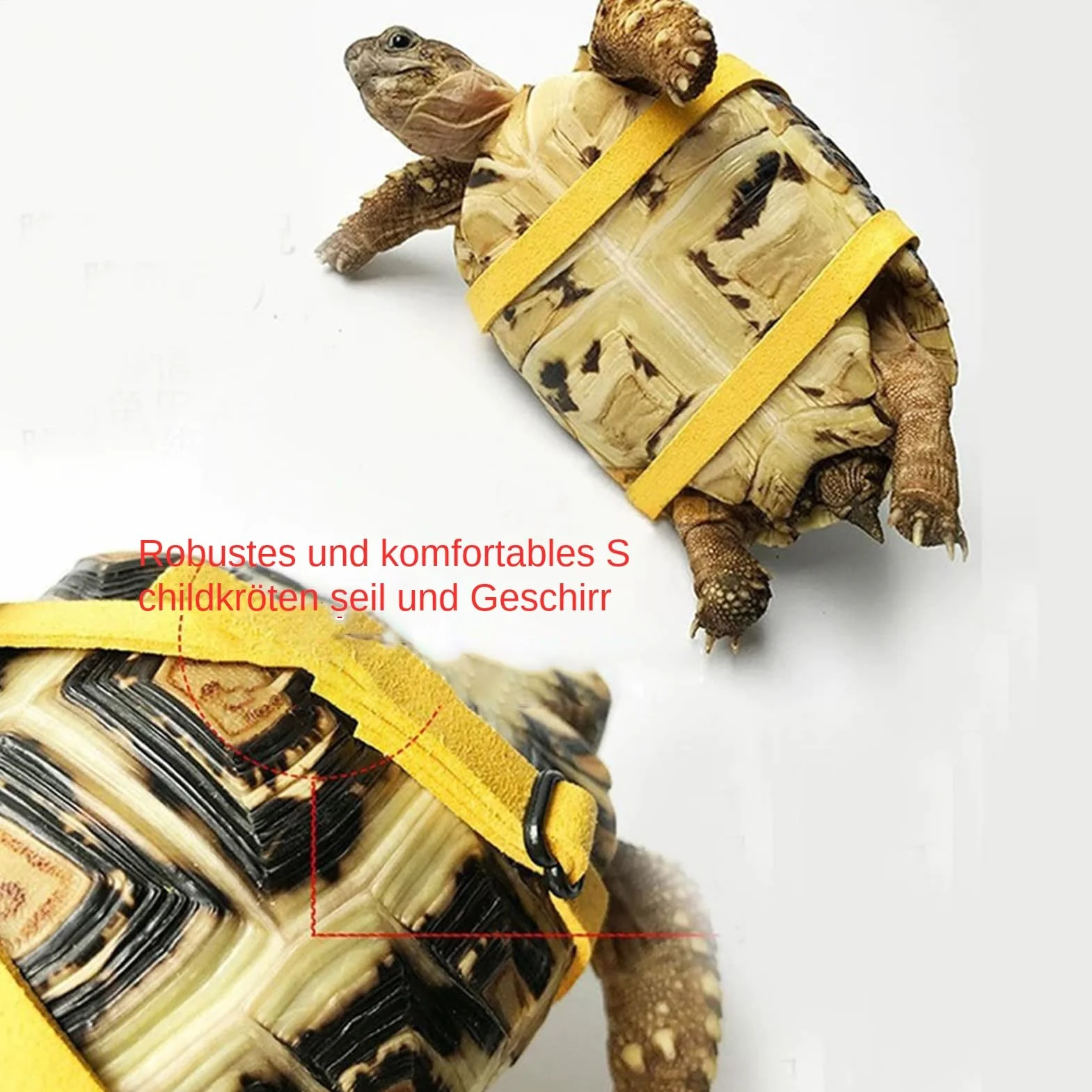Kit de jeu de tortue avec corde d'escalade et skateboard, harnais réglable pour reptiles, accessoire intérieur extérieur
