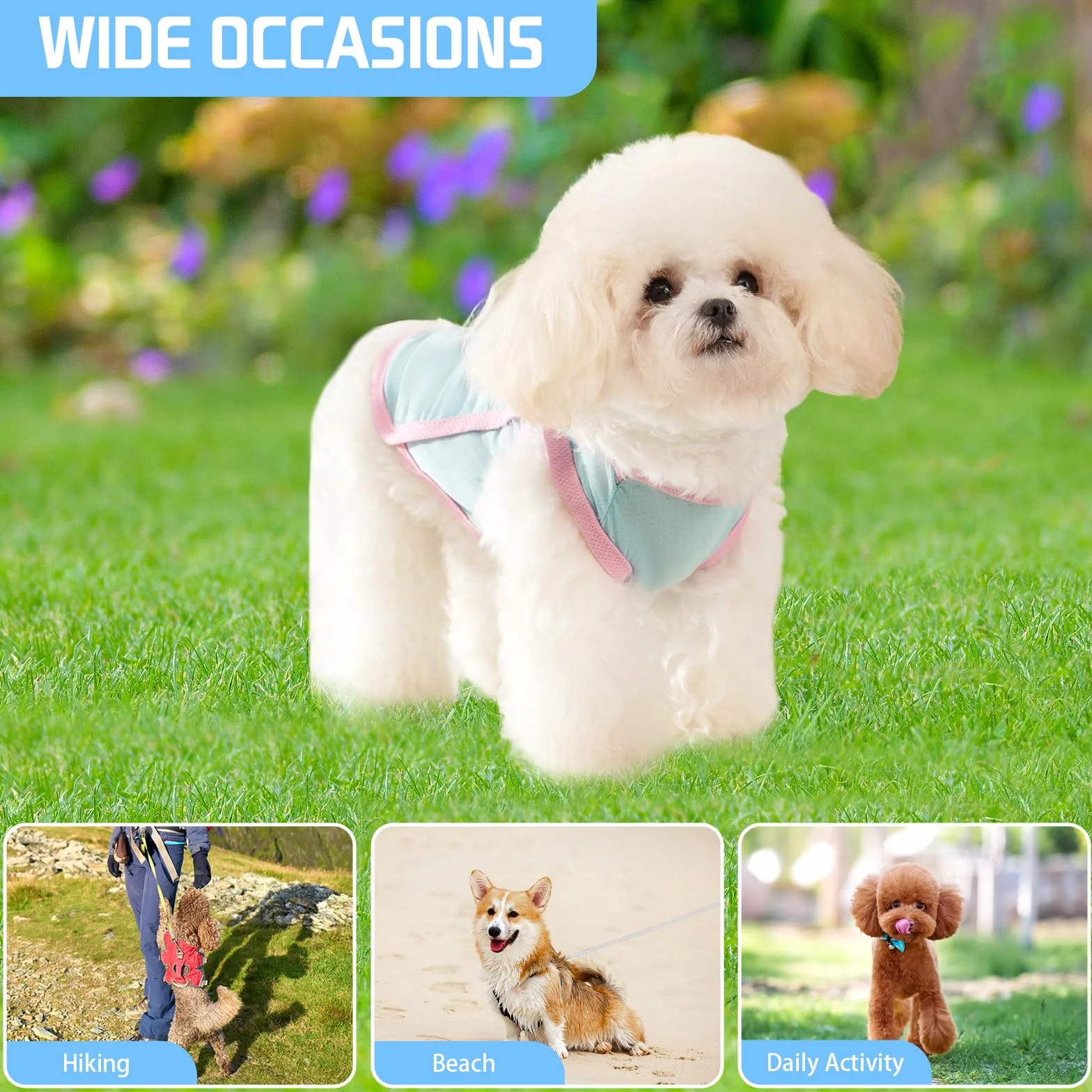 Gilet Rafraîchissant pour Chien T-Shirt d'Été Respirant Séchage Rapide Bleu Taille M 2,5-4 kg