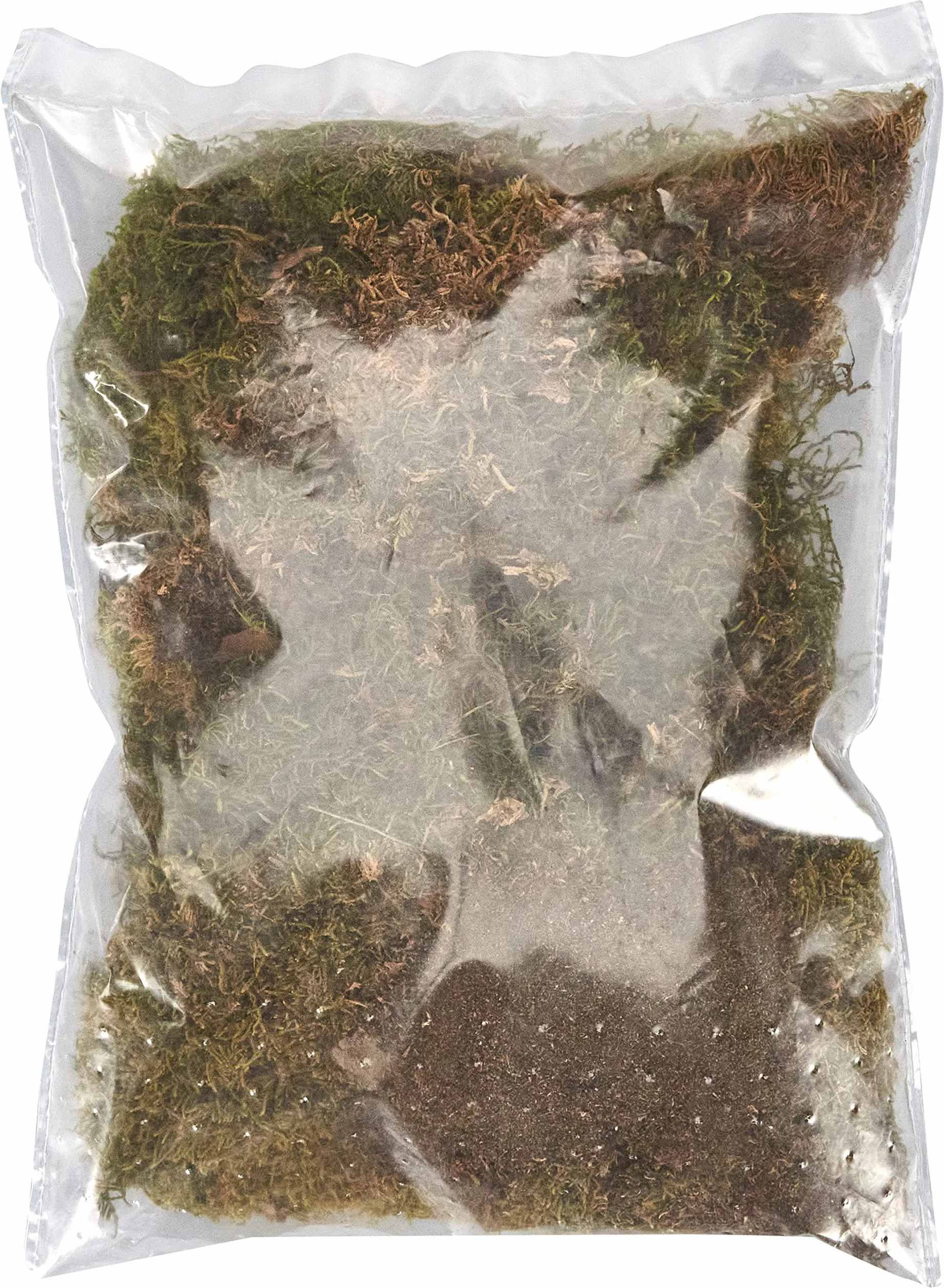 TRIXIE Mousse pour terrariums Substrat humide 200 g