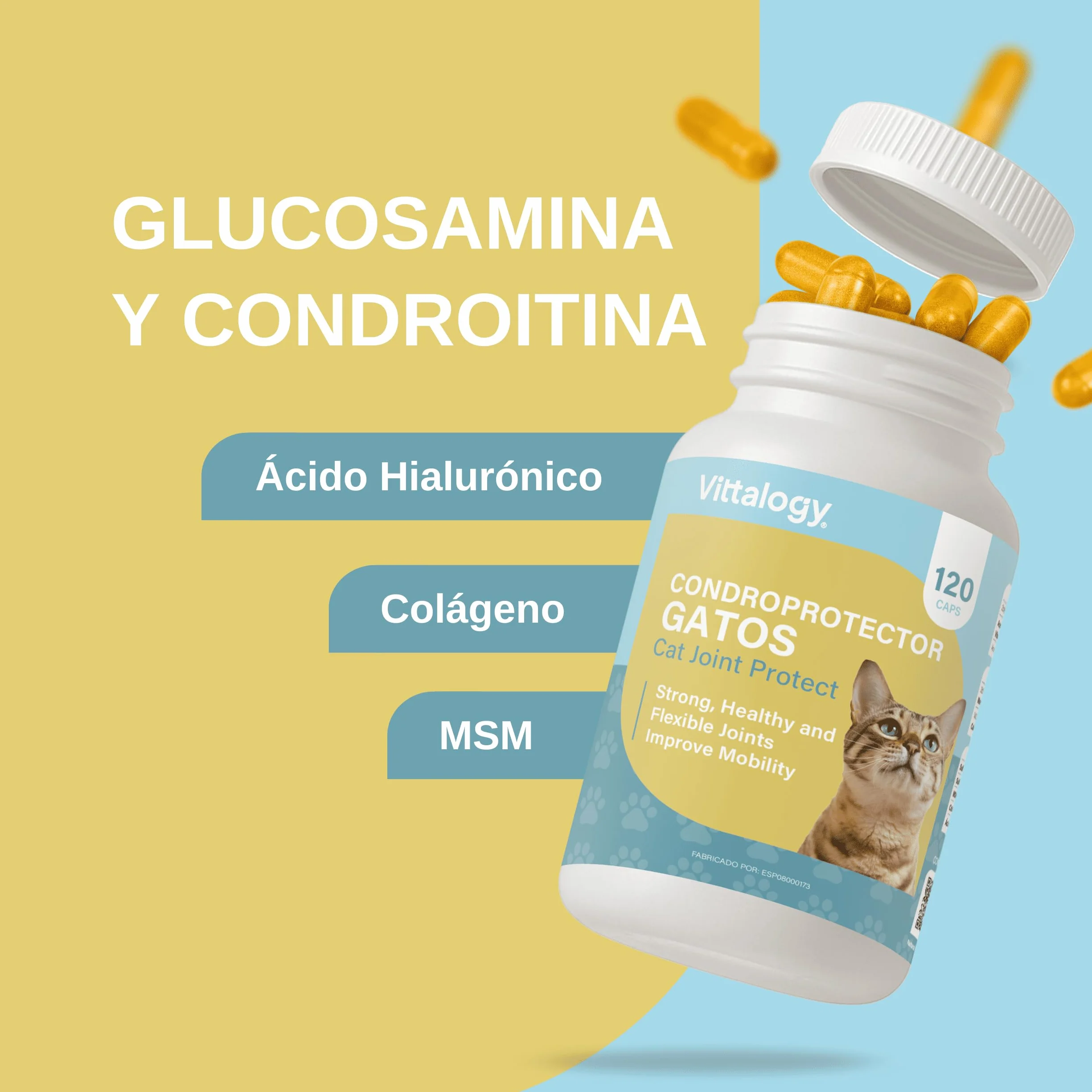 Chondroprotecteur chats anti-inflammatoire naturel collagène chondroïtine hyaluronique curcuma complément alimentaire articulations 120