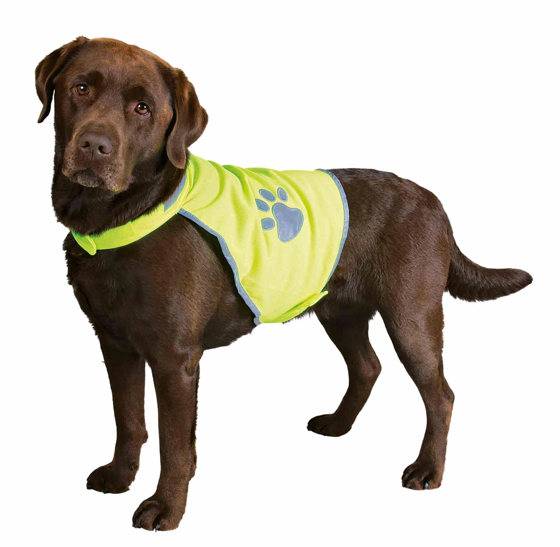 Trixie Gilet de signalisation pour Chien Jaune Fluo réfléchissant réglable Facile d'Entretien S