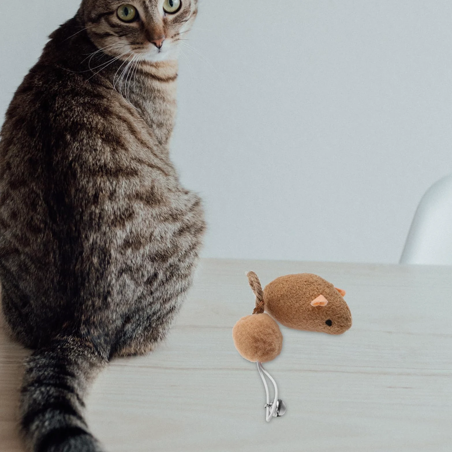 Mobestech Lot de 6 Souris en Peluche avec Clochettes pour Chaton et Chat, Jouets Résistants aux Morsures Vie Quotidienne, Couleurs Variées et Forme de Souris
