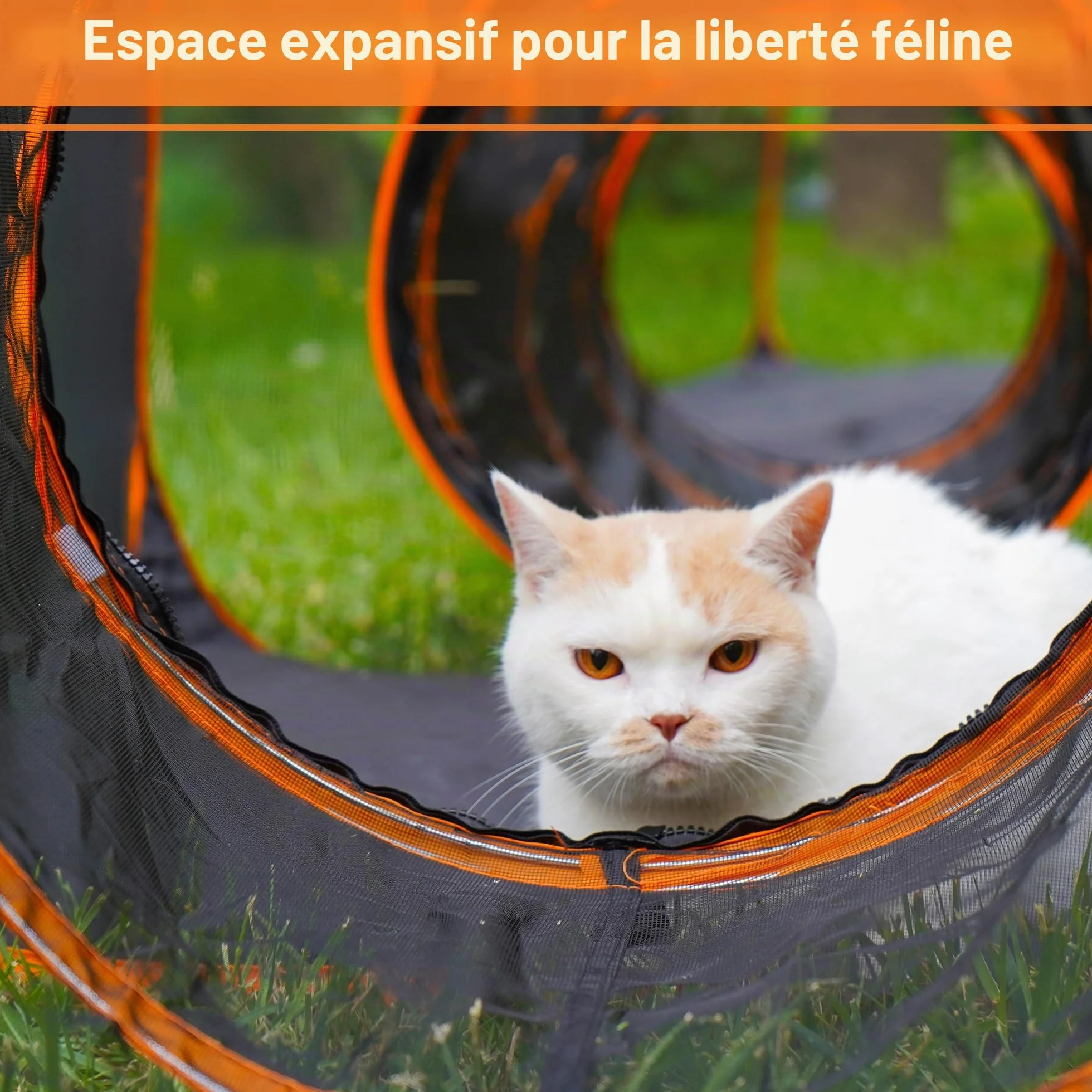 Enclos pliable pour chat Parc d'extérieur portable avec tente en maille et trois tunnels 7 en 1