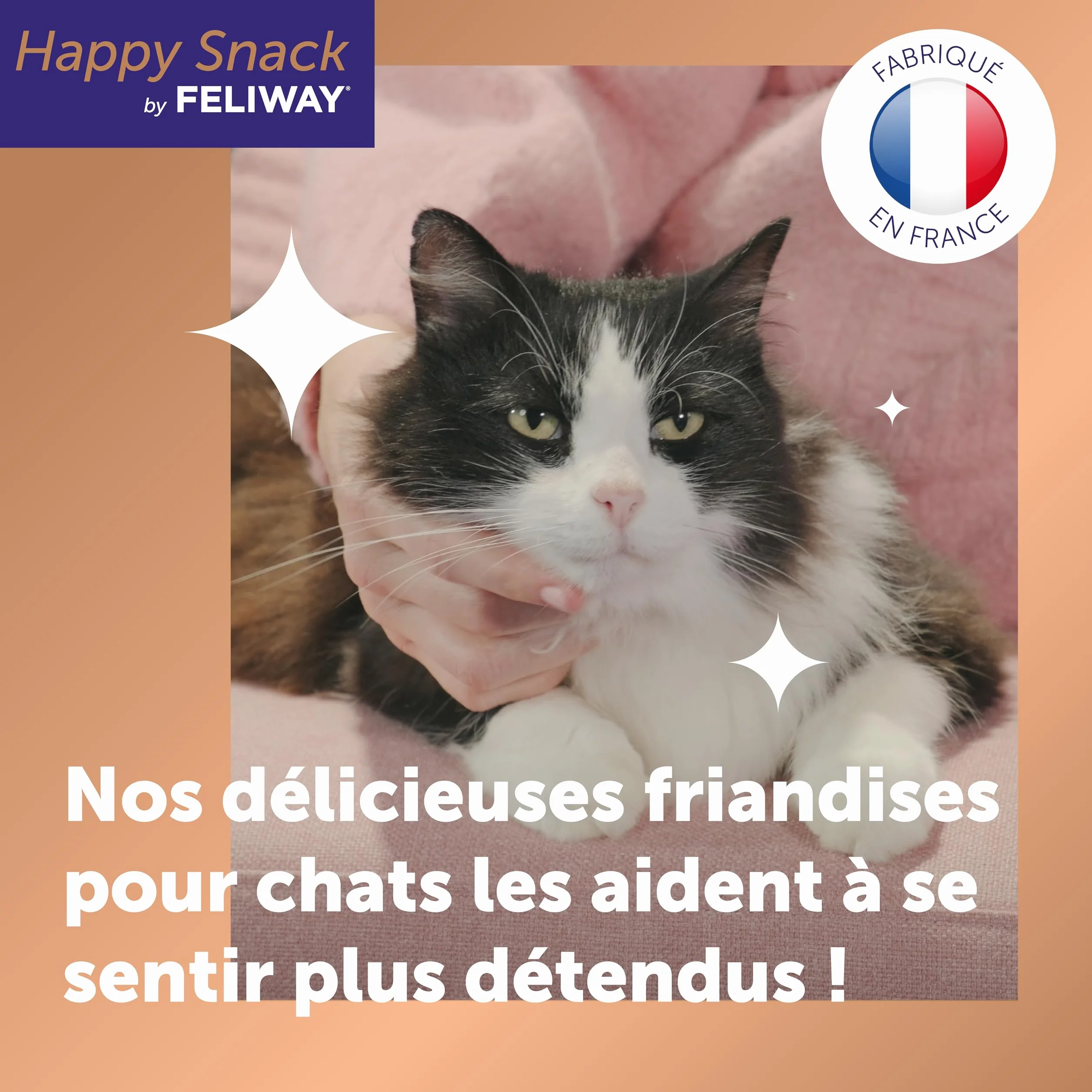 FELIWAY Happy Snack 24 Sticks au goût Saumon Friandise onctueuse pour Chat