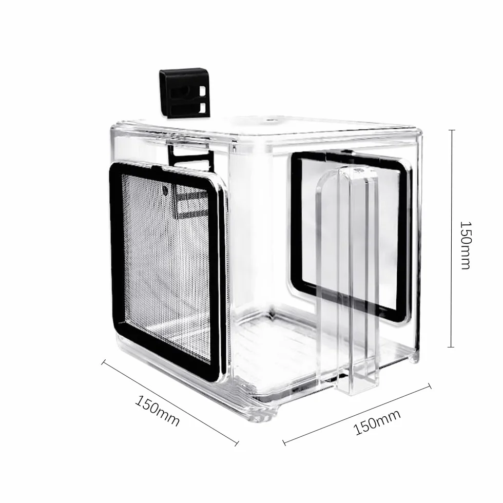Boîte d'élevage de Poissons de mer en Acrylique Transparent, réservoir d'aquarium Amovible pour bébés Poissons
