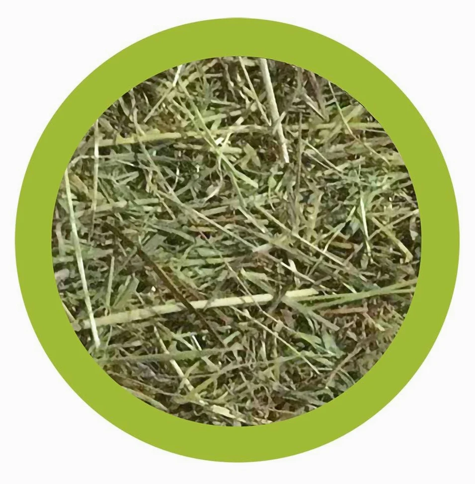 Paglianatura Kit de 6 Sacs à Foin 1300 g — Nourriture Riche en Fibres pour Lapins, cobayes et rongeurs, 100% Naturelle, favorise la Digestion et la santé des Dents
