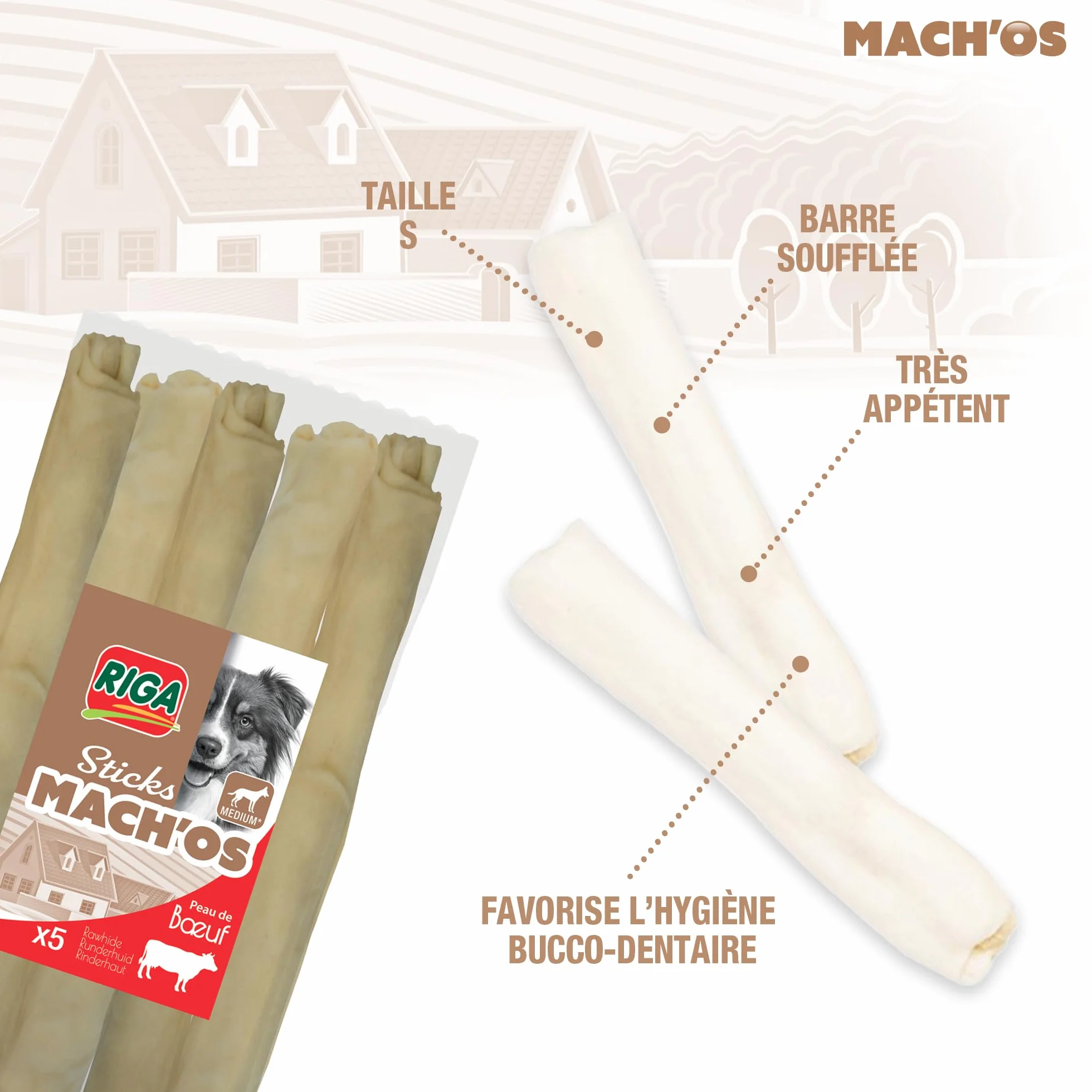 Riga - Mach'os - Barre Soufflée Blanche - Friandise pour Chien - Peau De Buffle - Riche en Protéines - Hygiène Buccale - Mastication Et Récompense - pour Moyen Chien - x 5