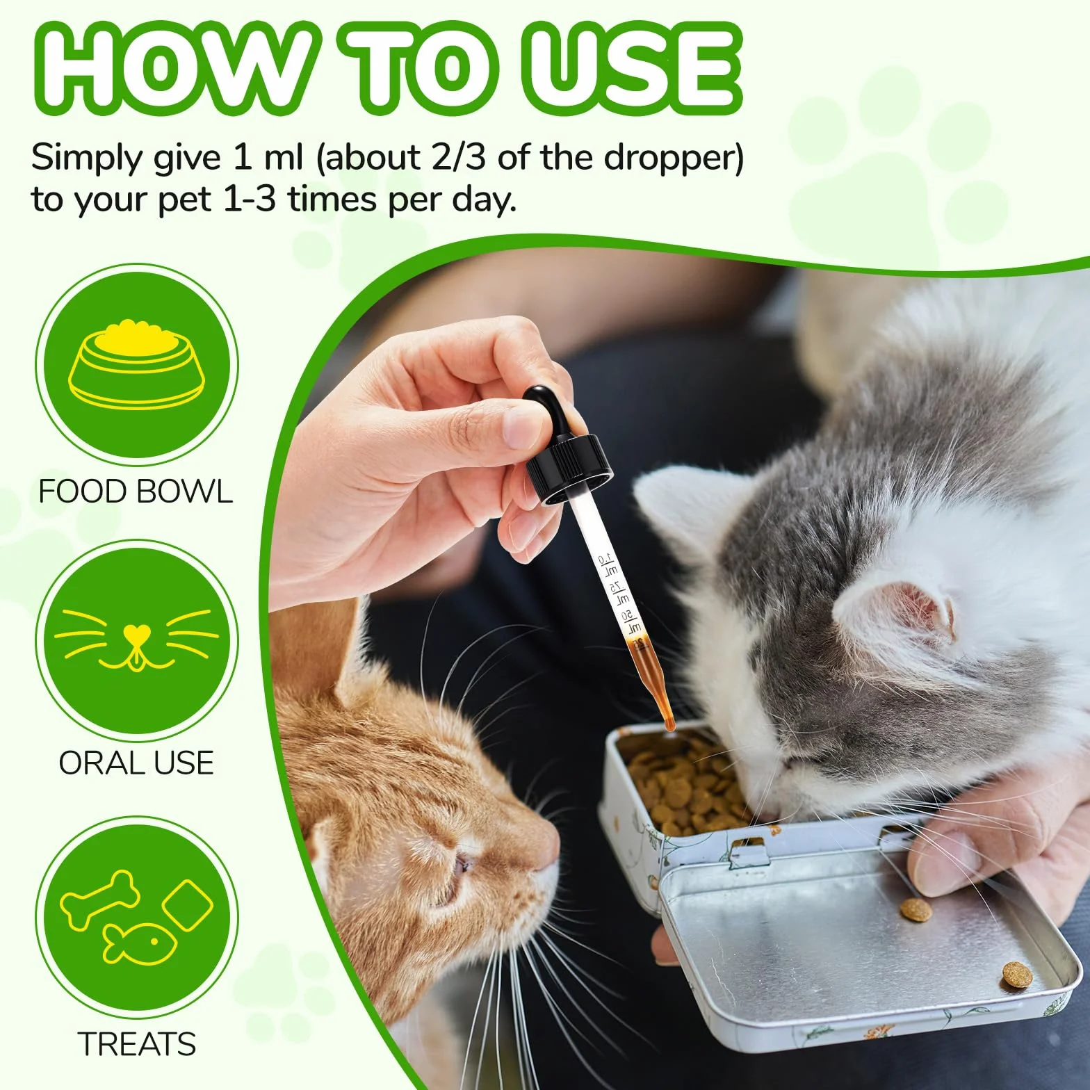 Laxatif Naturel pour Chats Constipation - Transit Intestinal Régulier & Santé Intestinale - 6 Probiotiques Actifs - 60ml